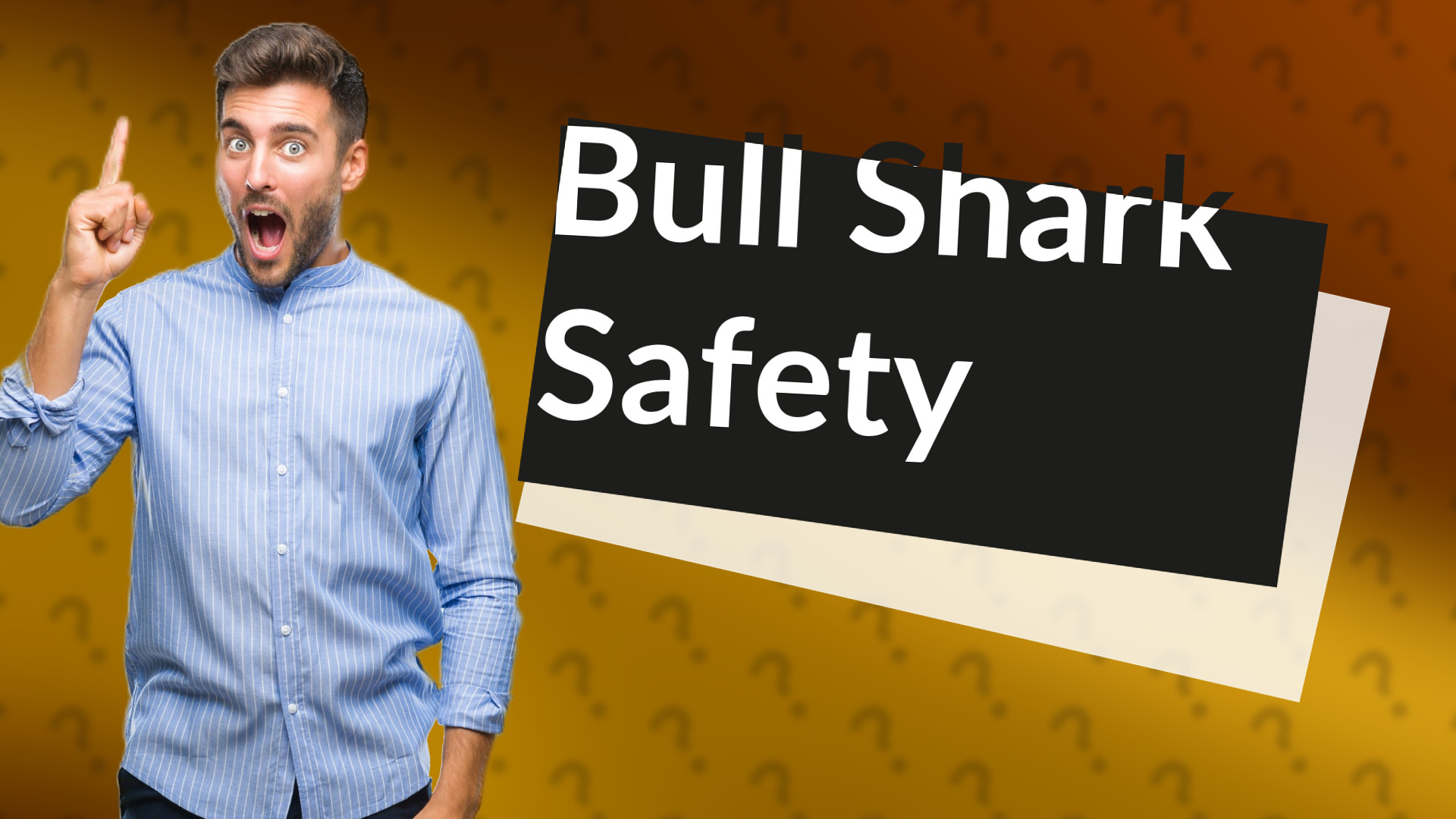 Bull Shark Safety