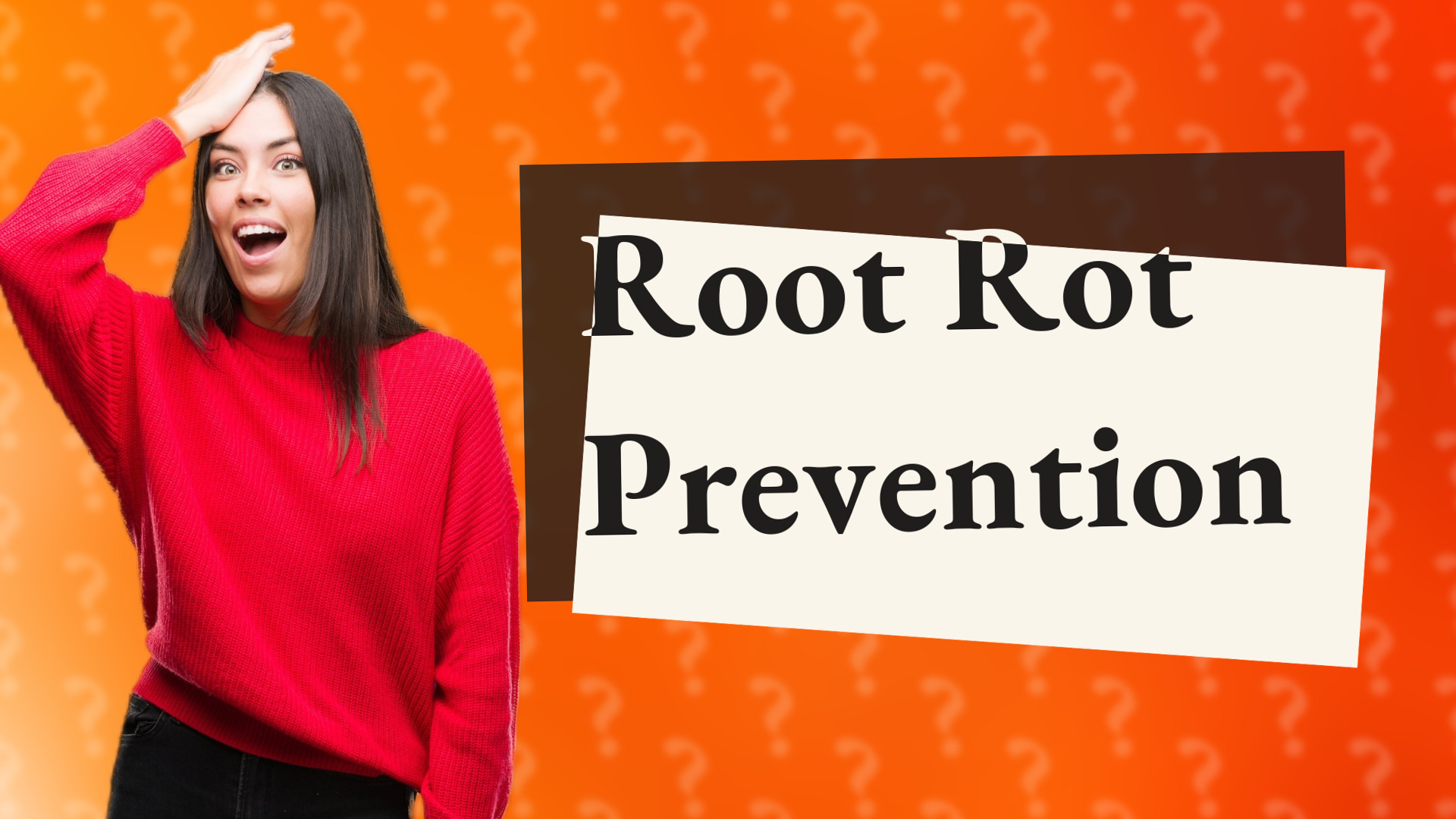 Root Rot Prevention