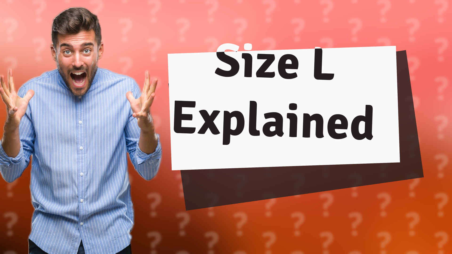 Size L Explained