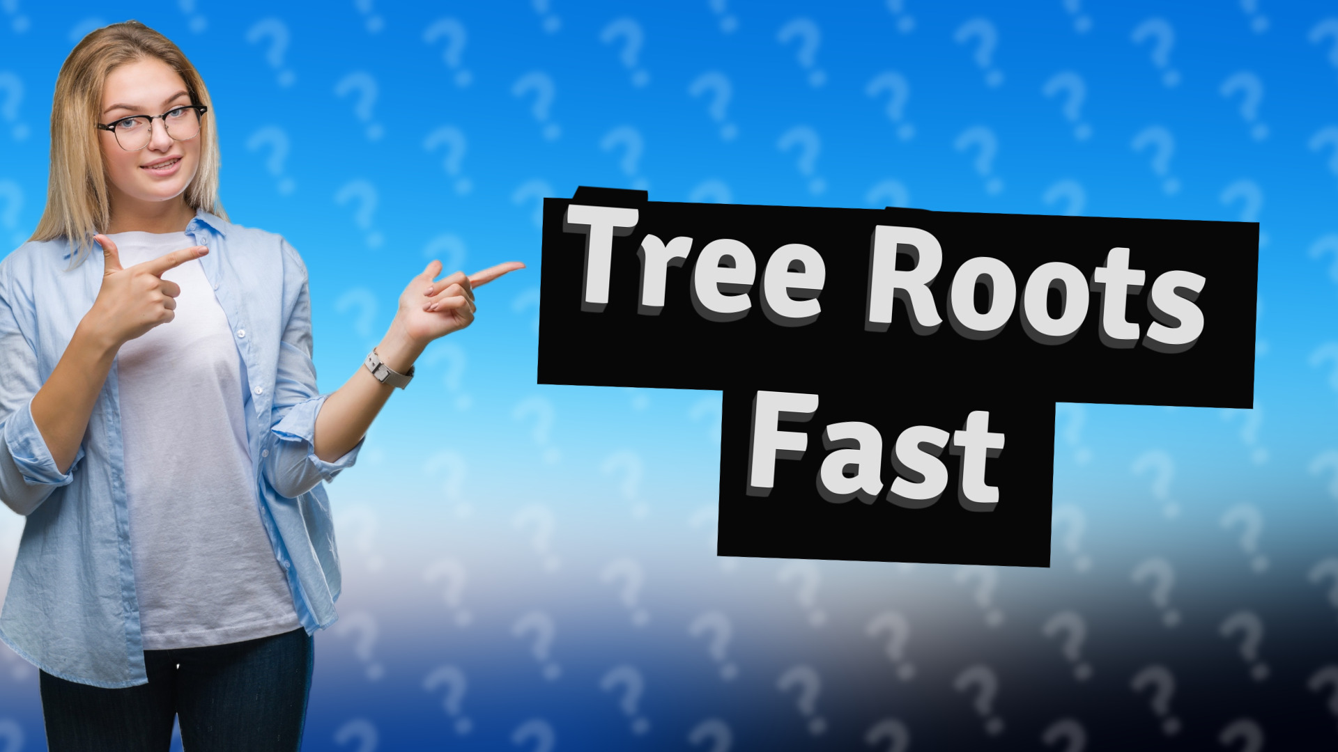 Tree Roots Fast