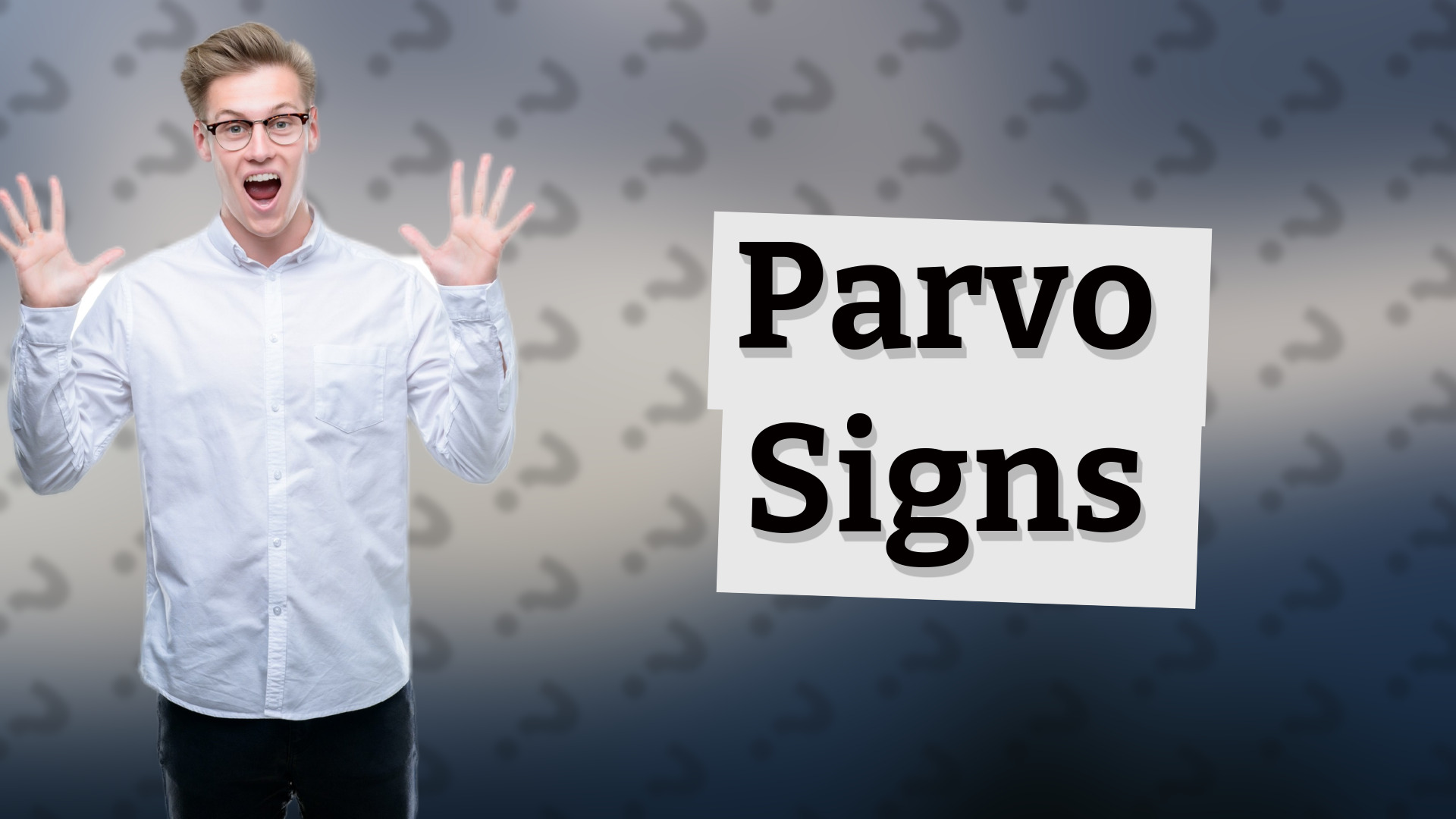Parvo Signs