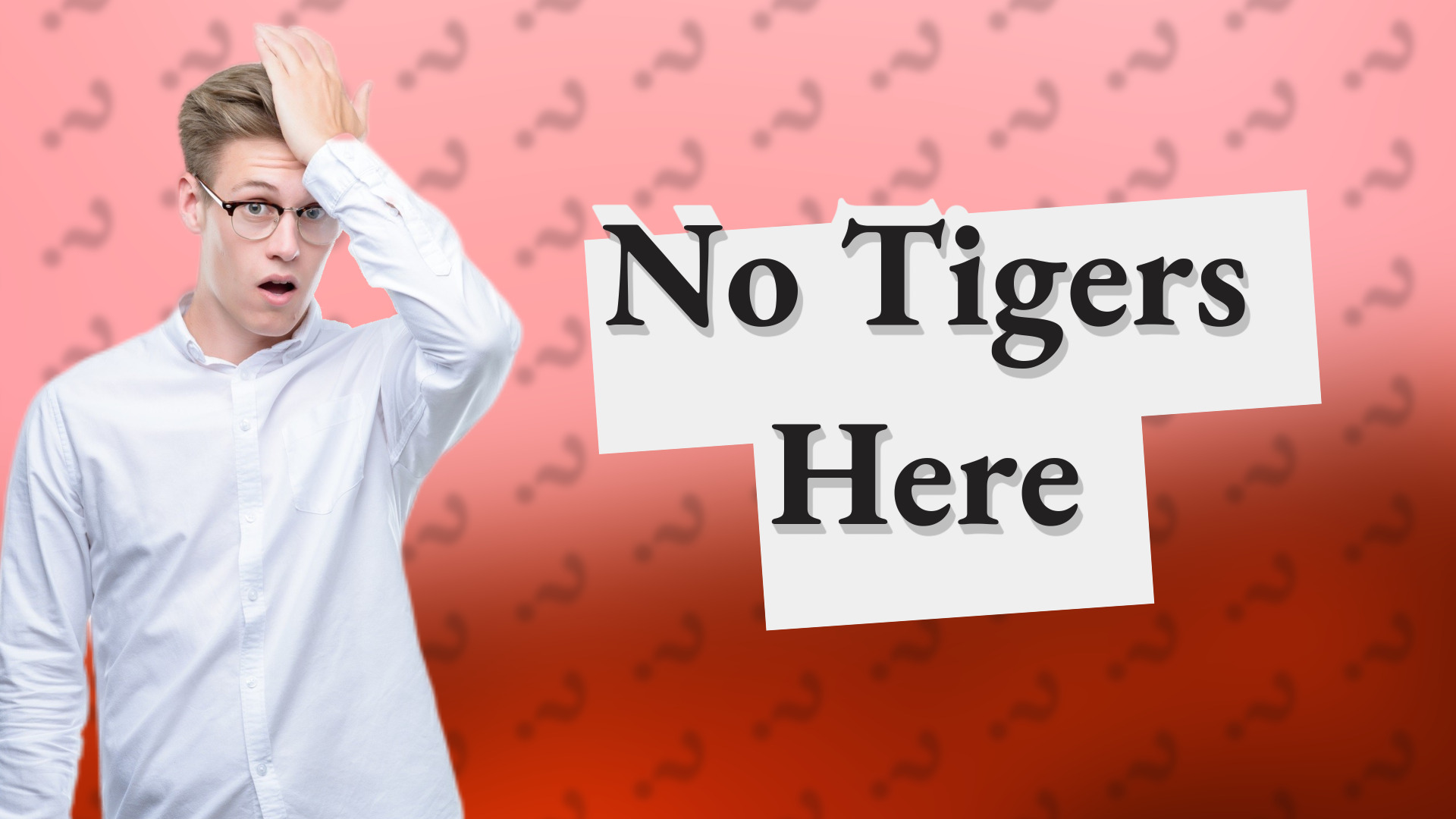 No Tigers Here
