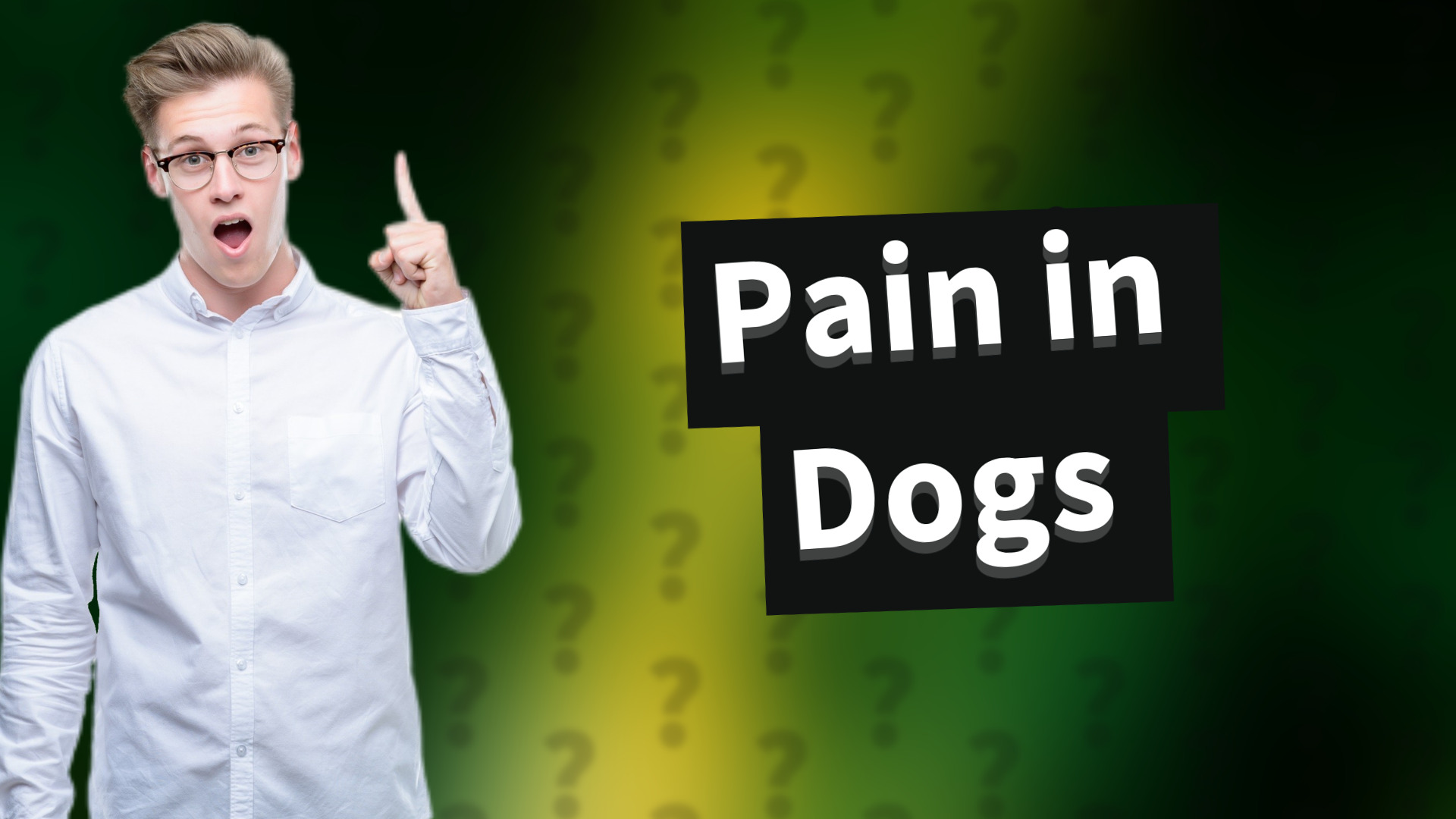 Pain in Dogs