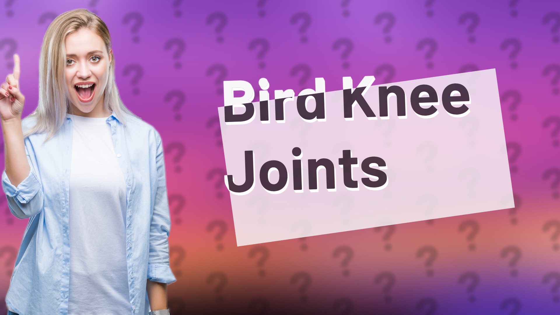 Bird Knee Joints