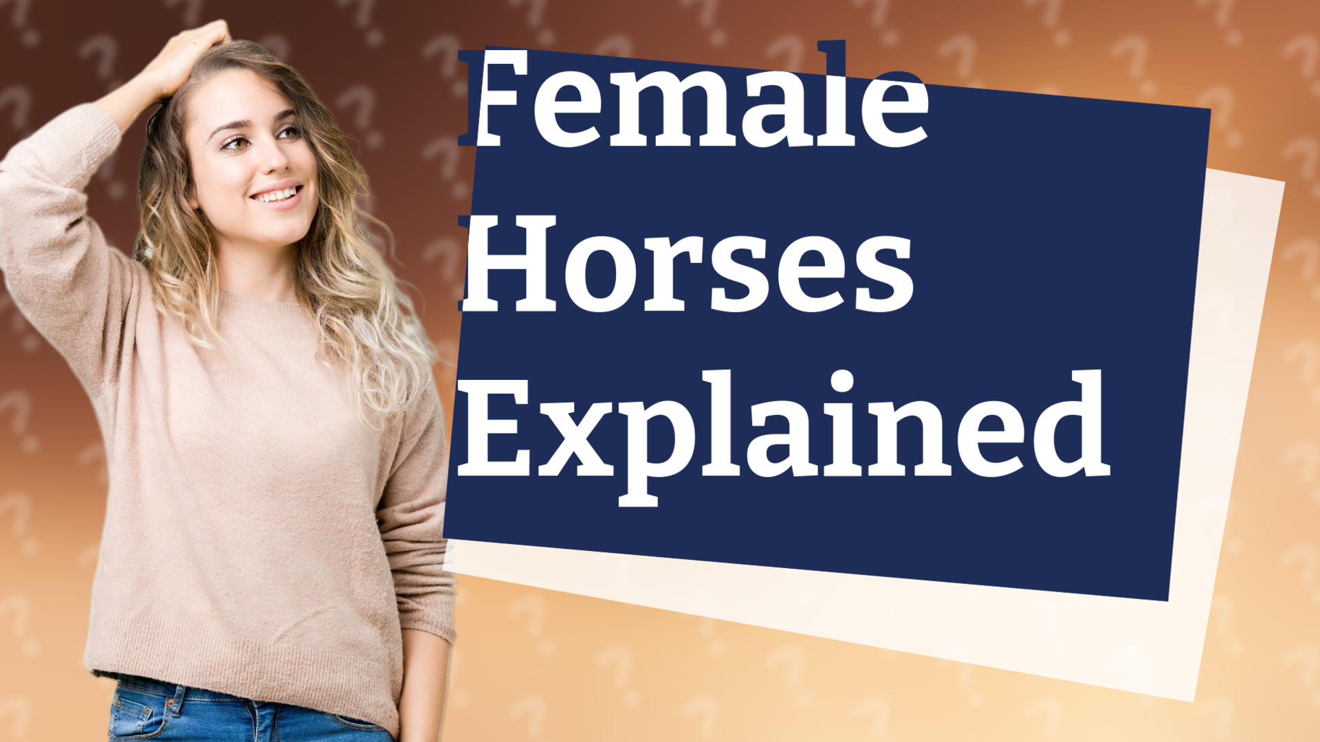 Female Horses Explained