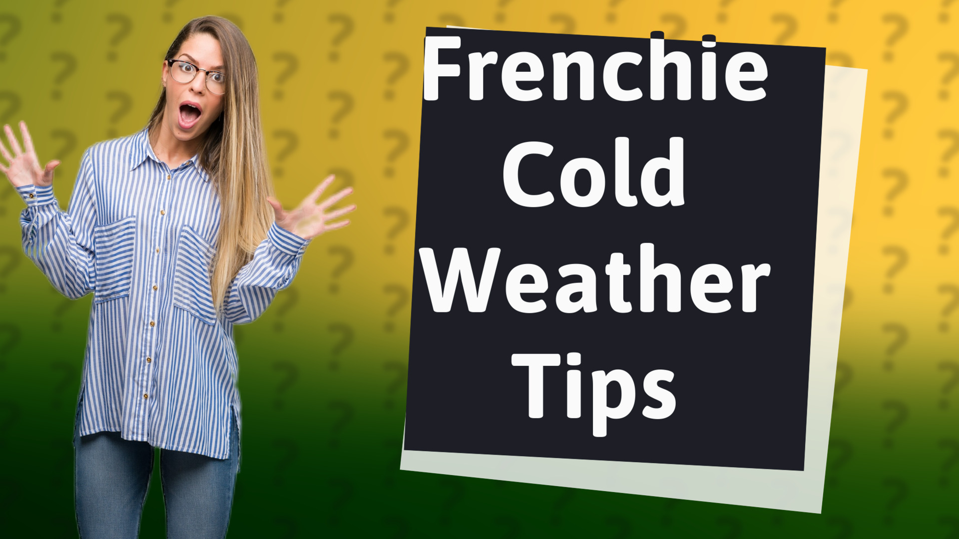 Frenchie Cold Weather Tips
