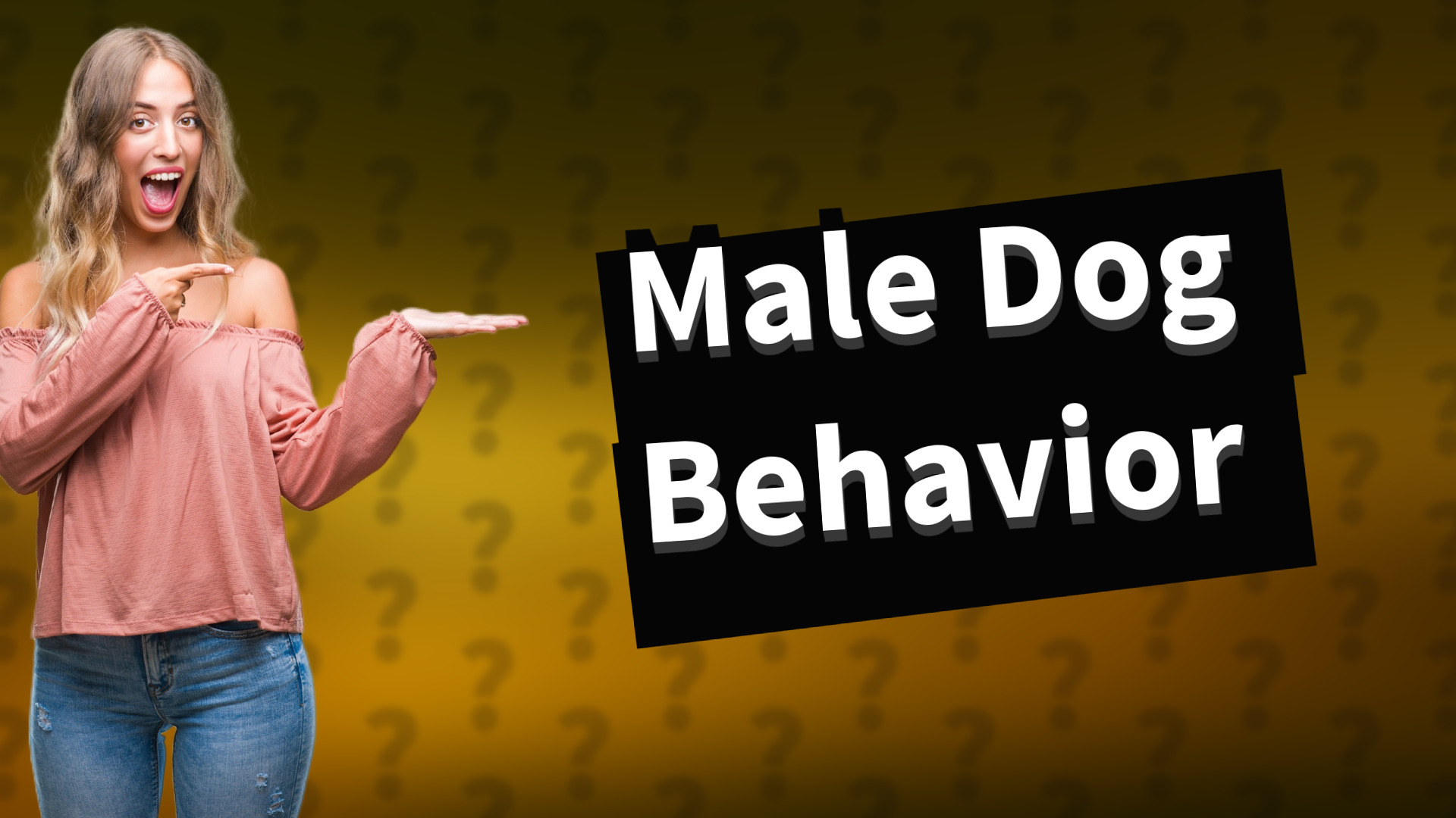Male Dog Behavior