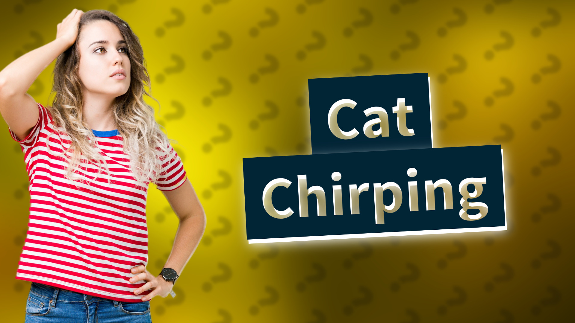 Cat Chirping