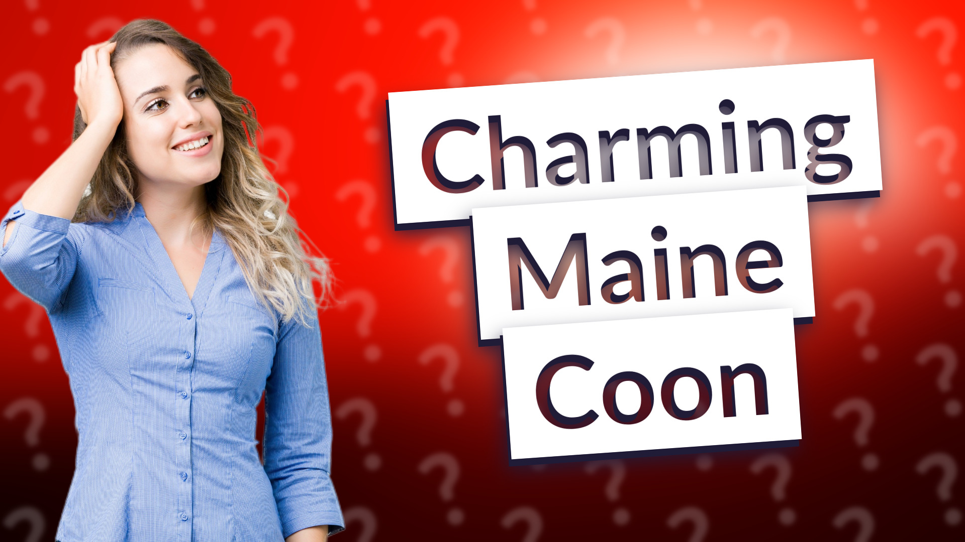 Charming Maine Coon