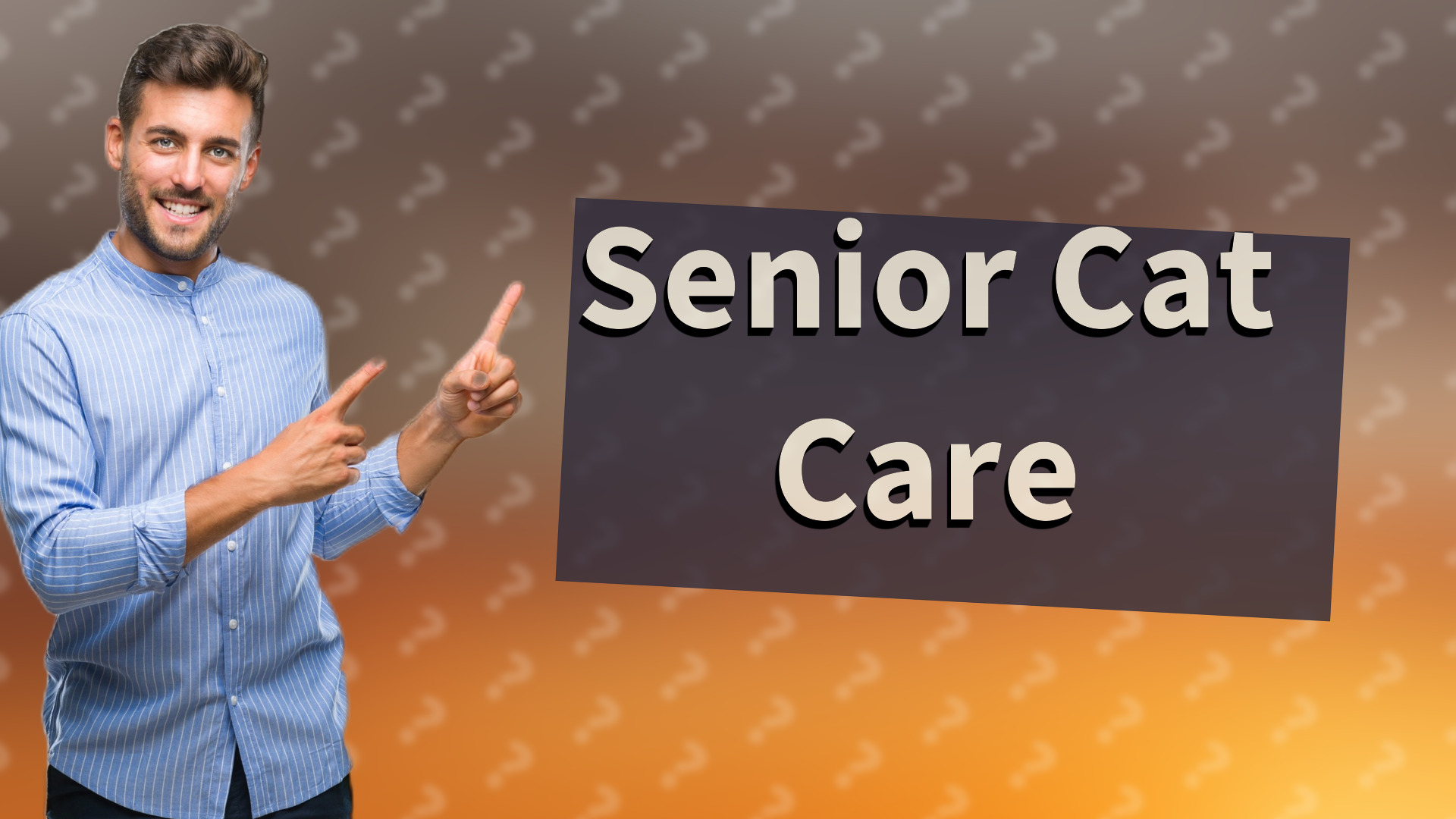 Senior Cat Care