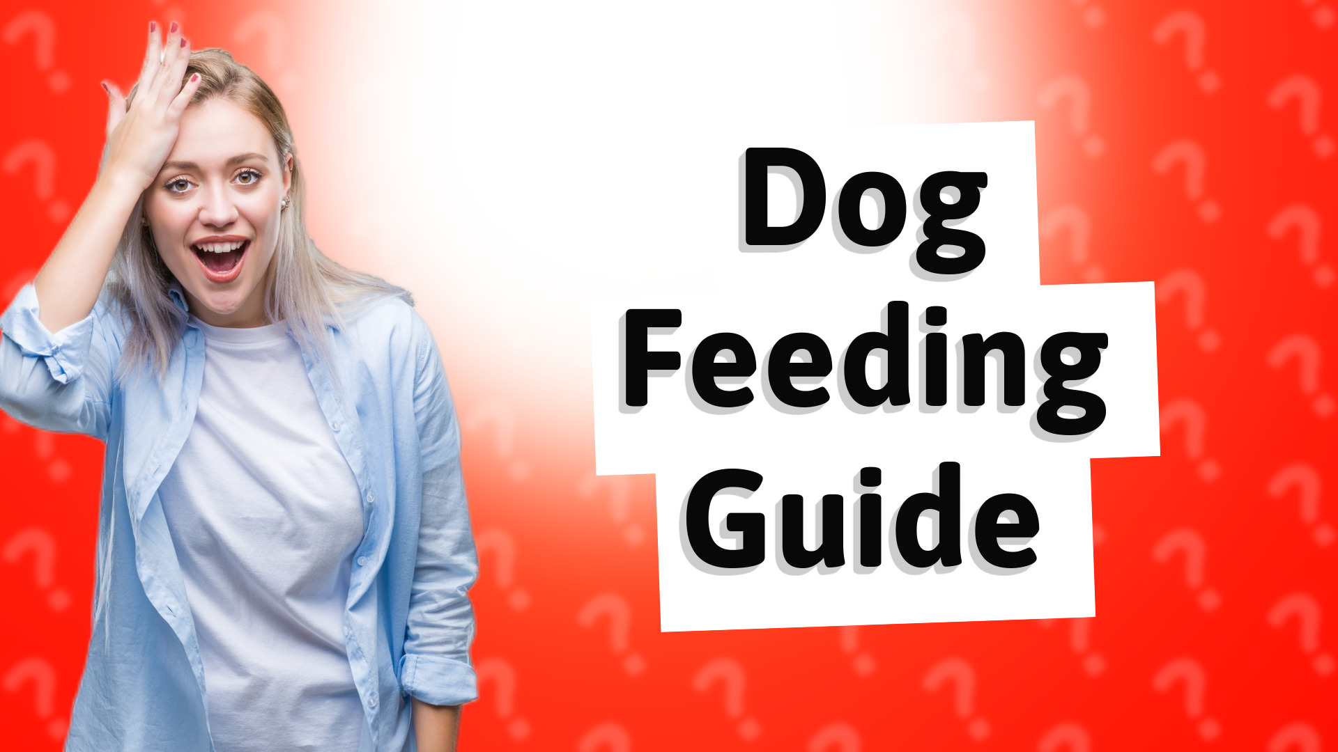 Dog Feeding Guide