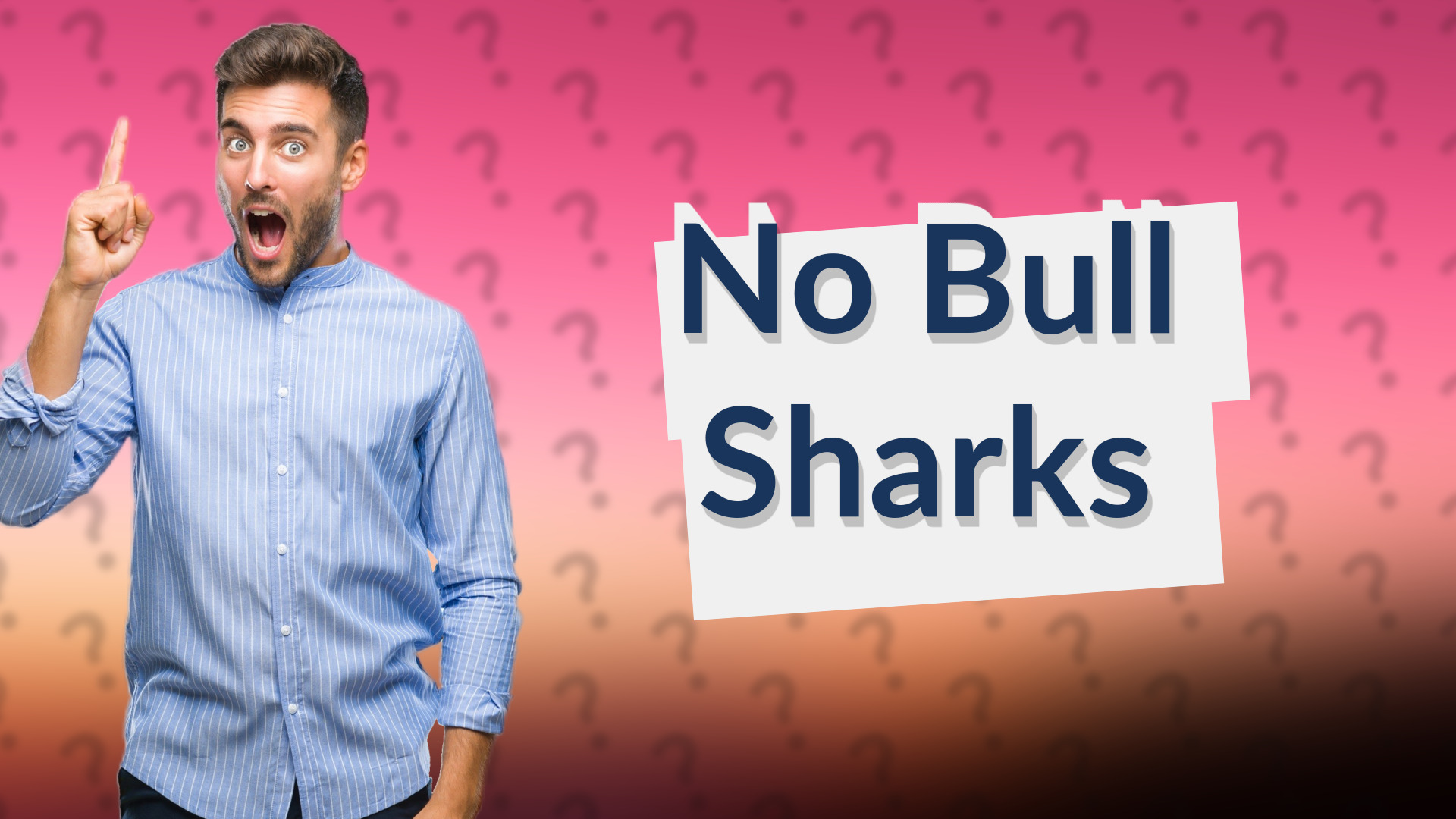 No Bull Sharks