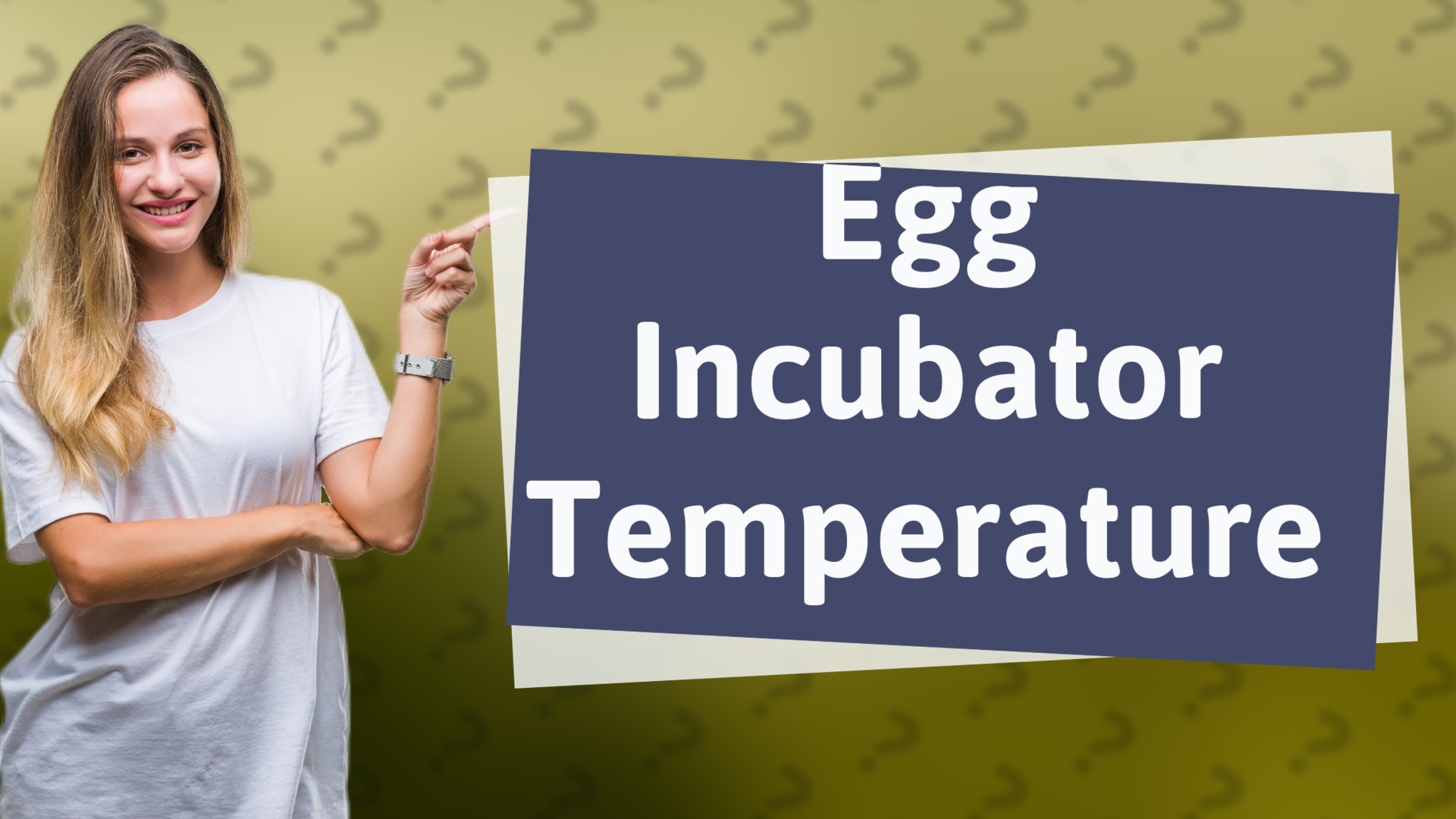 Egg Incubator Temperature