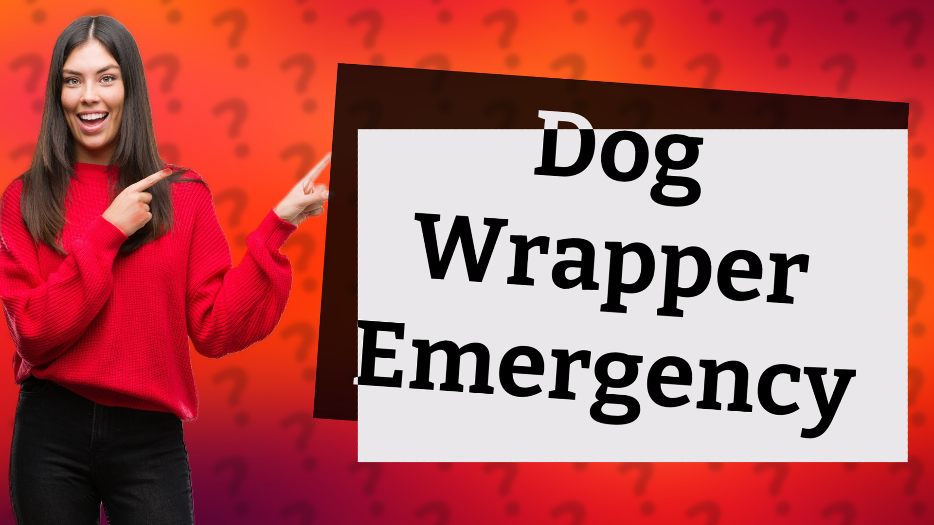 Dog Wrapper Emergency