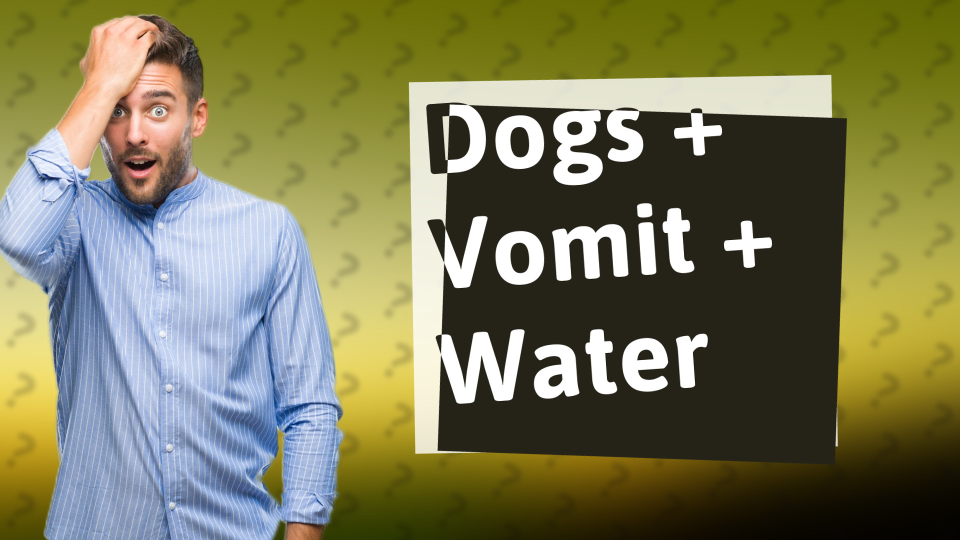 Dogs + Vomit + Water