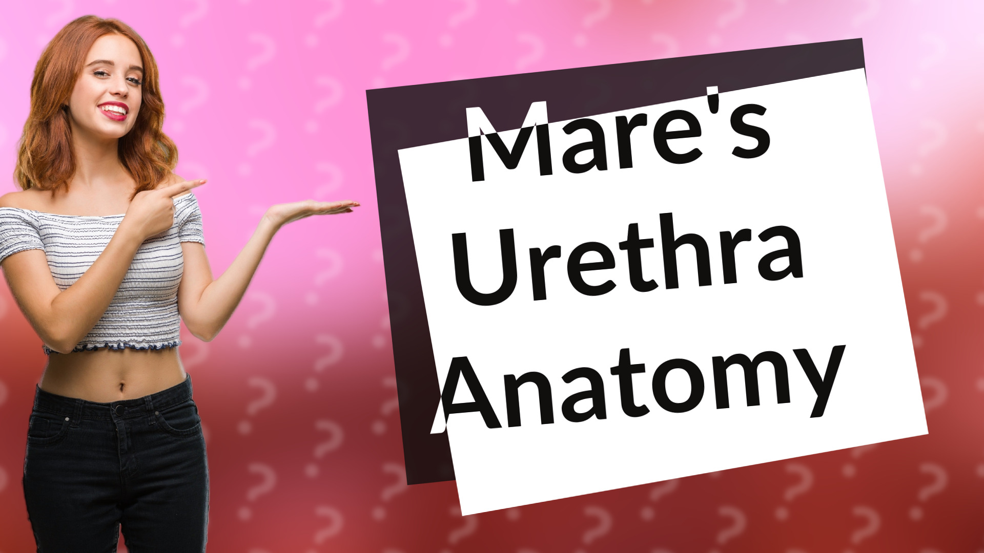 Mare's Urethra Anatomy
