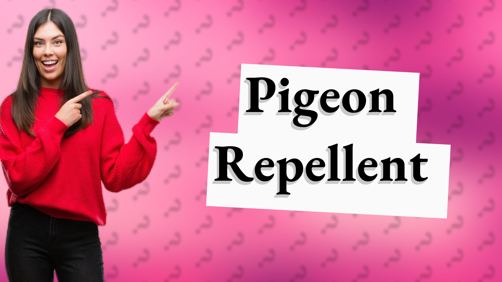 Pigeon Repellent