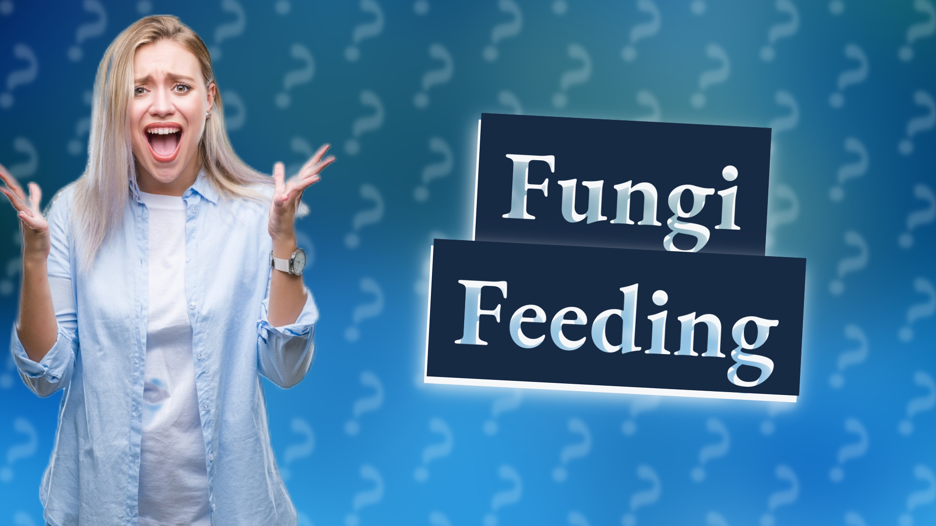 Fungi Feeding