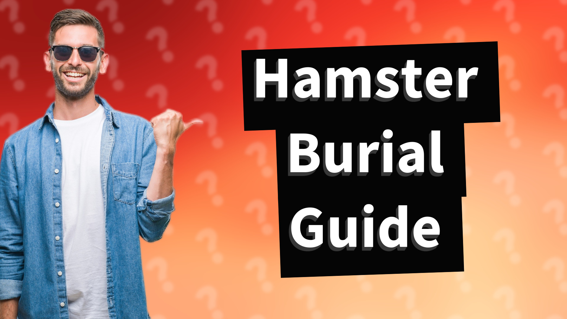 Hamster Burial Guide