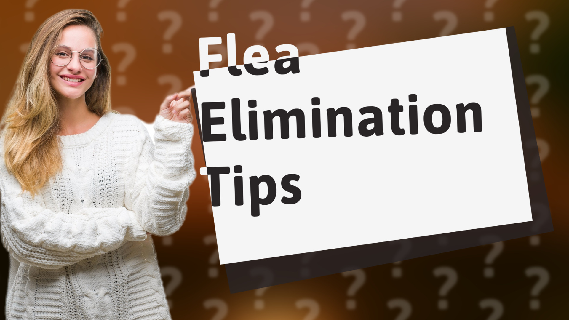 Flea Elimination Tips