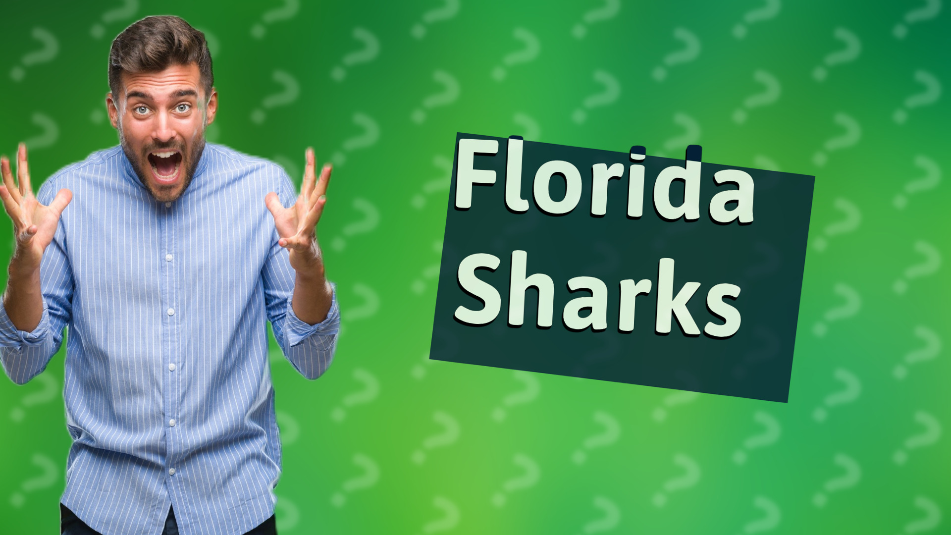 Florida Sharks