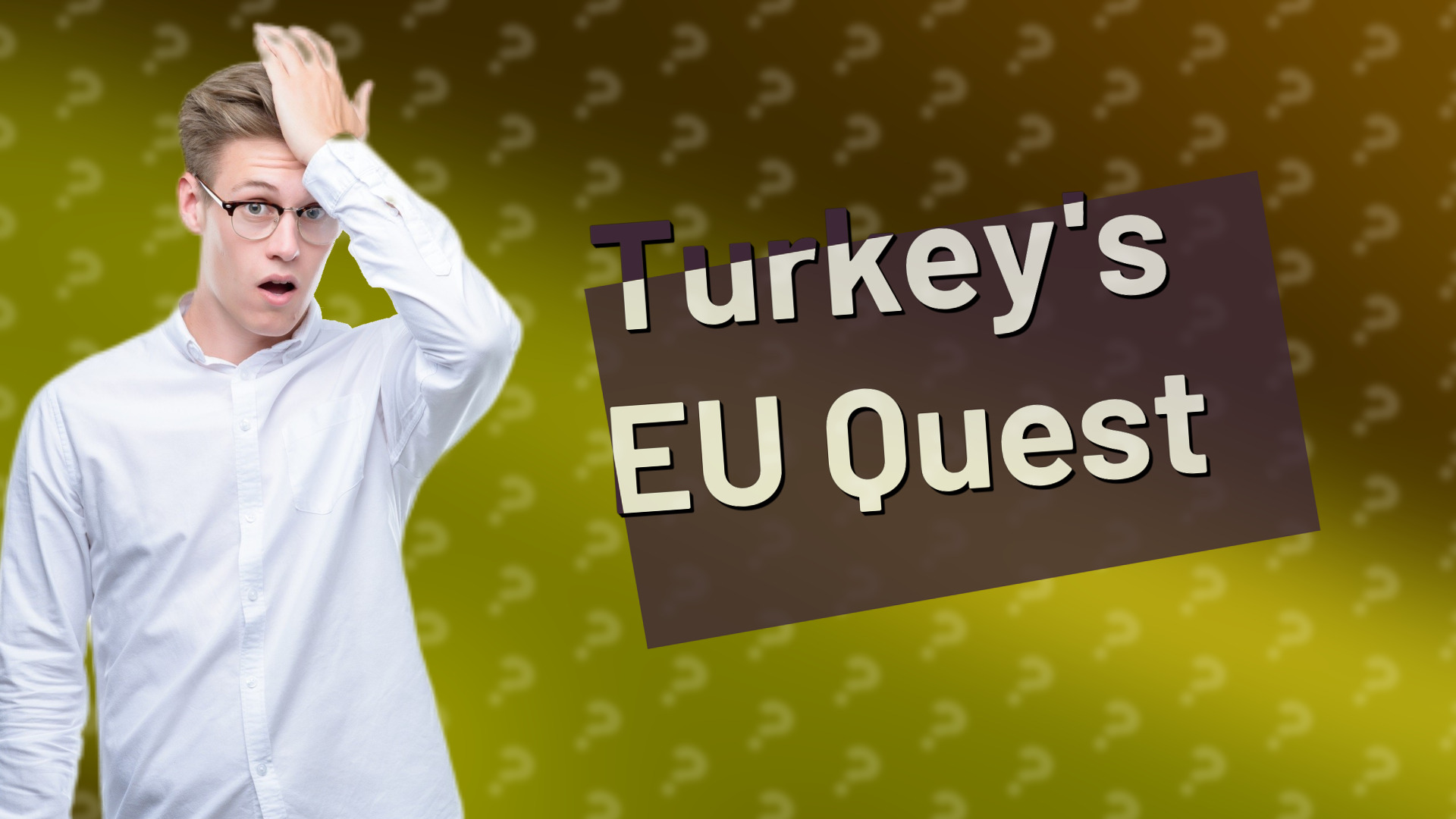 Turkey's EU Quest