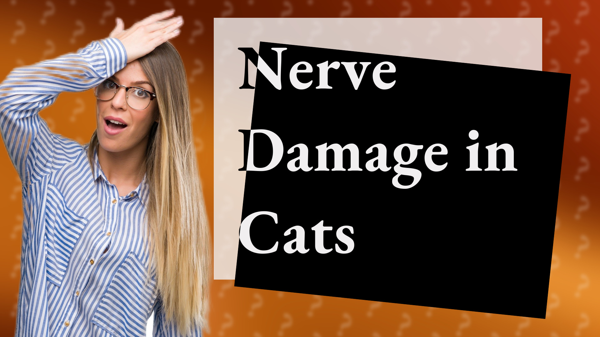 Nerve Damage in Cats