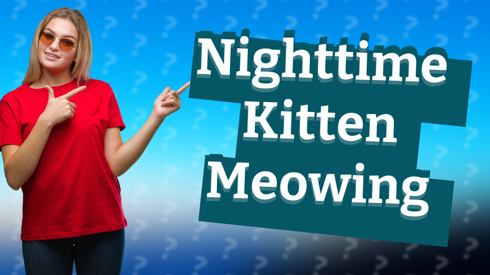 Nighttime Kitten Meowing