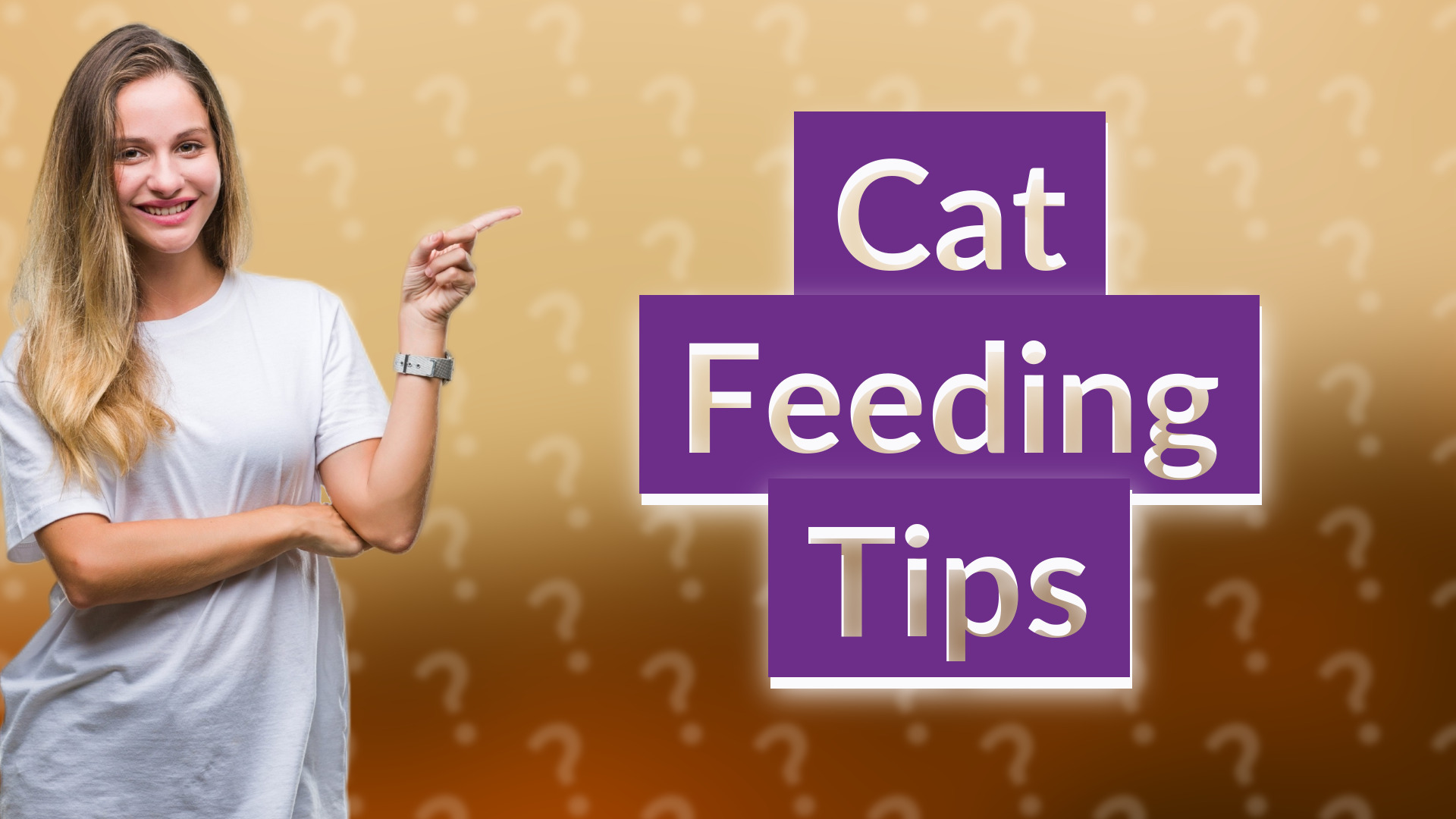 Cat Feeding Tips