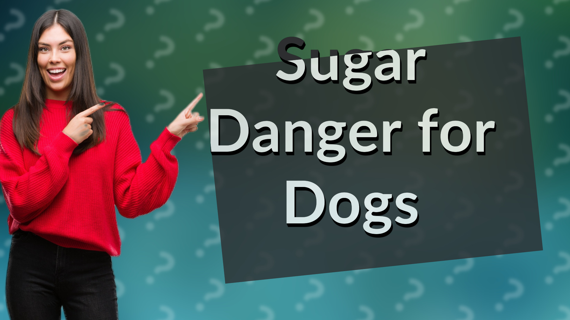 Sugar Danger for Dogs