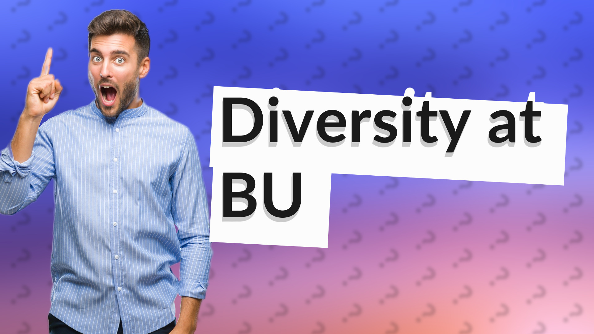 Diversity at BU