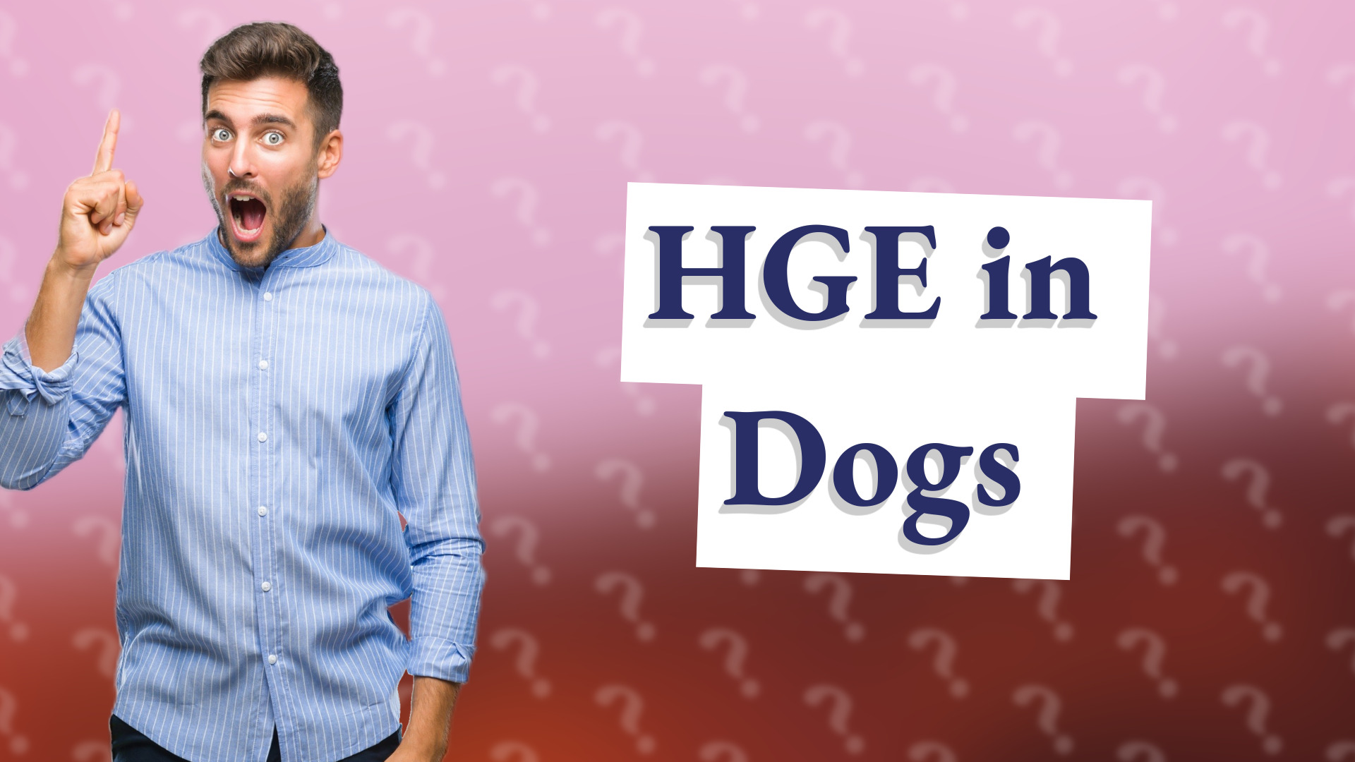 HGE in Dogs