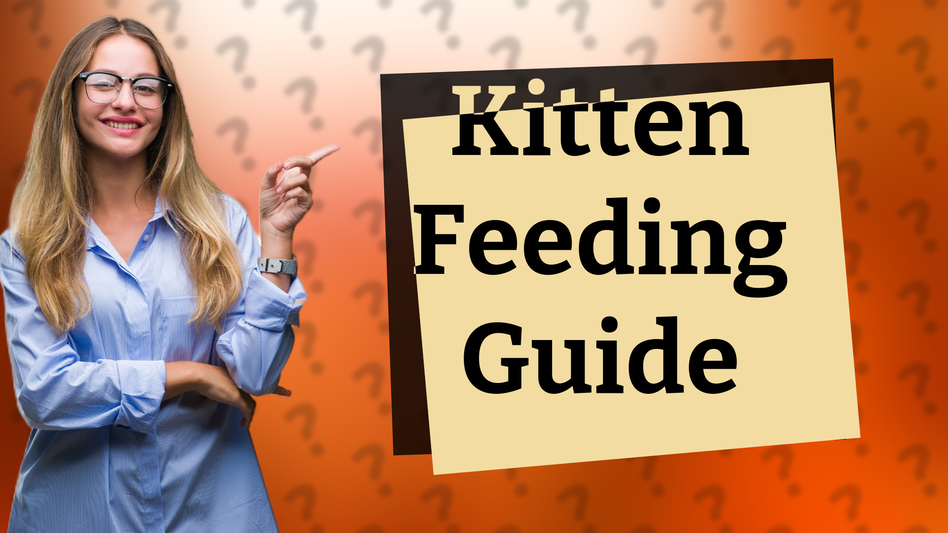 Kitten Feeding Guide