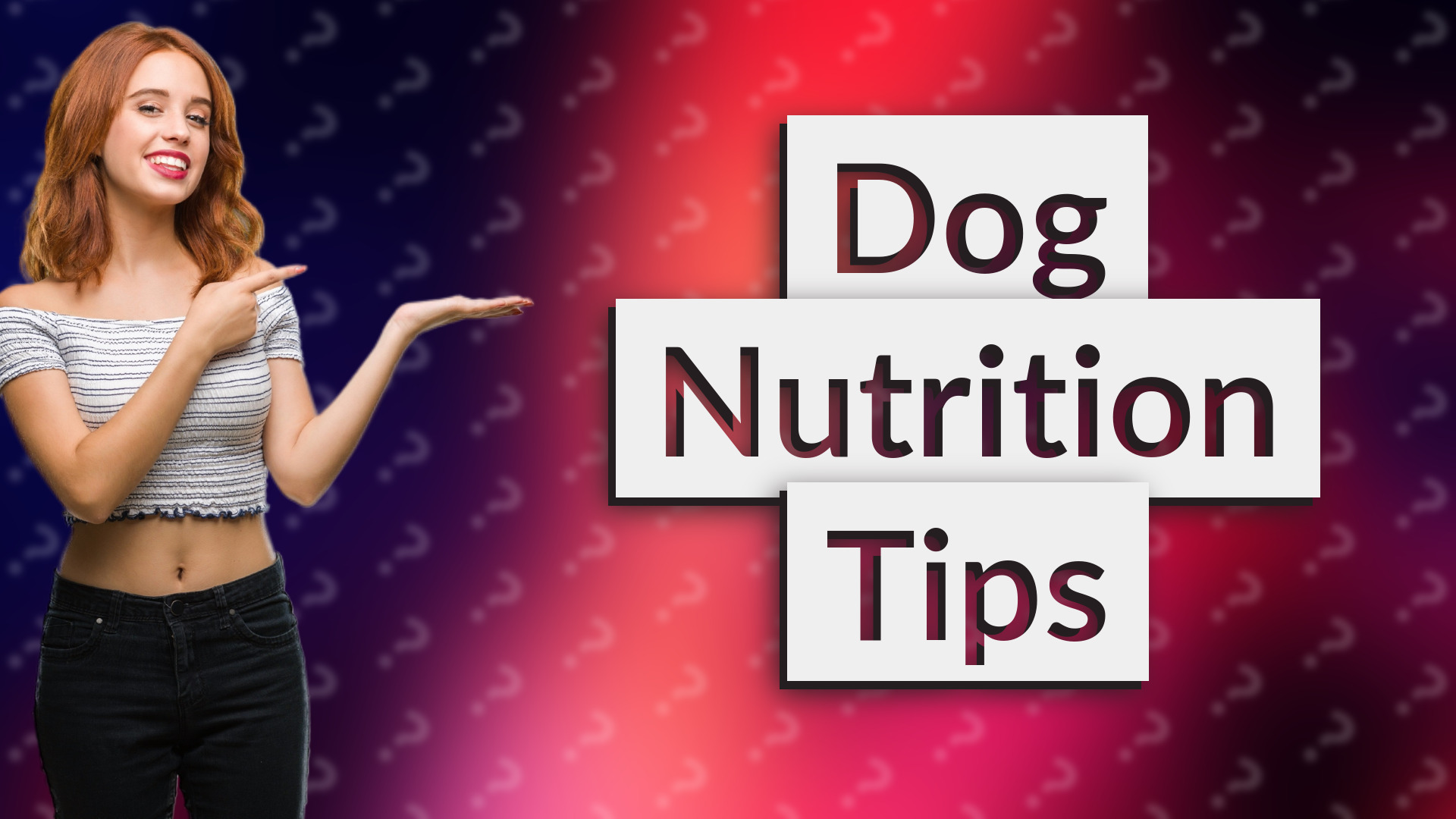 Dog Nutrition Tips