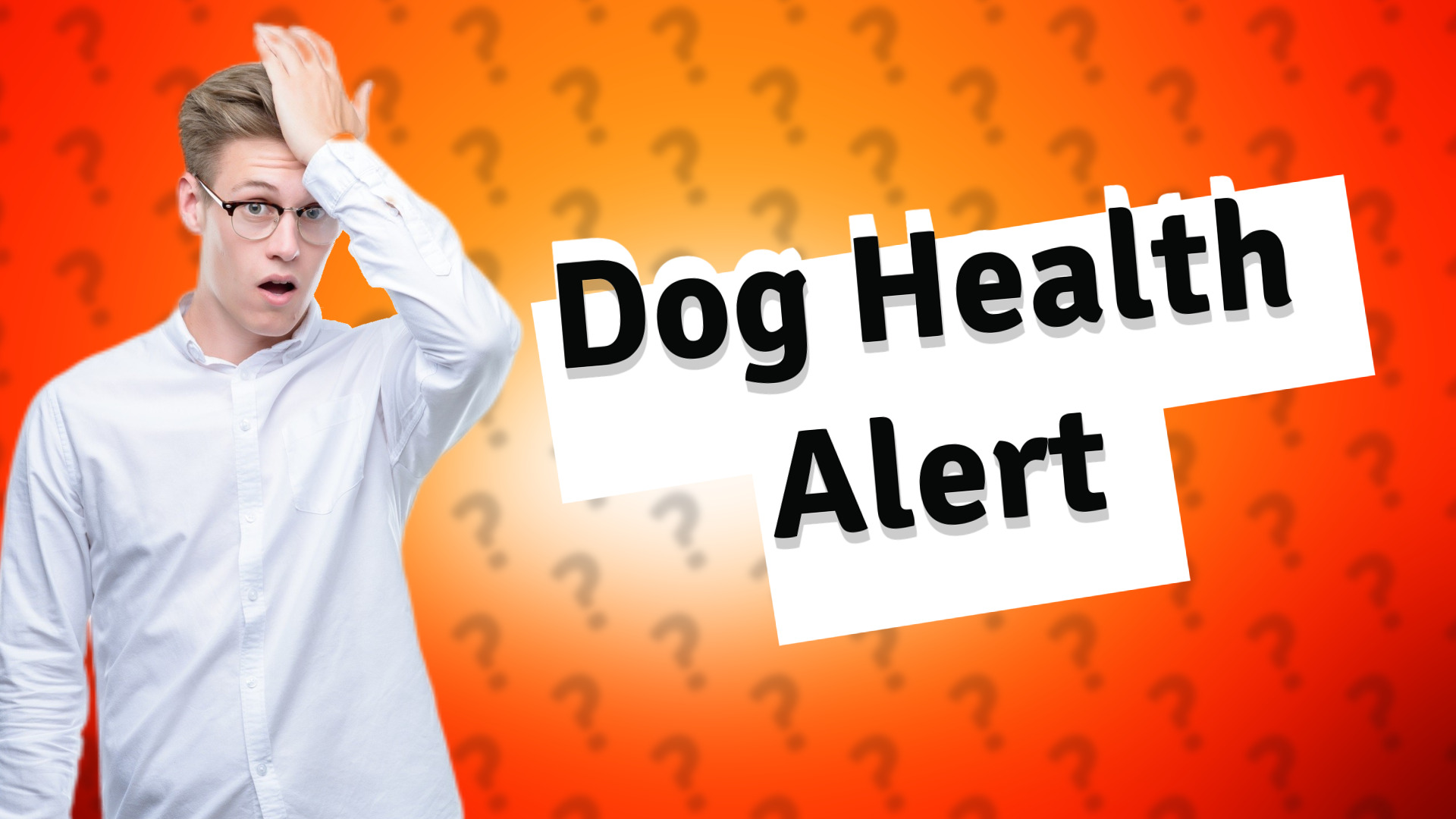Dog Health Alert