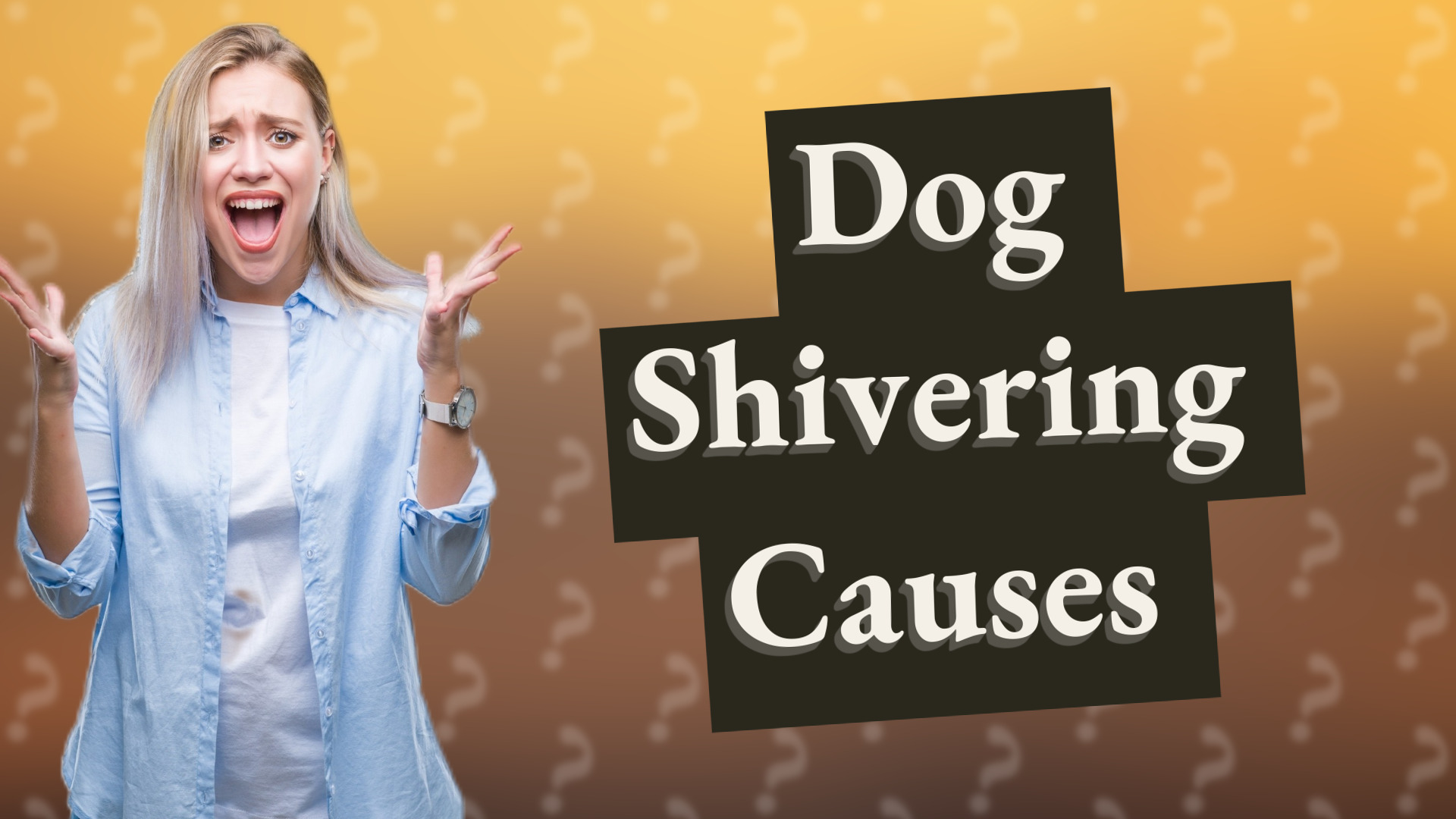 Dog Shivering Causes