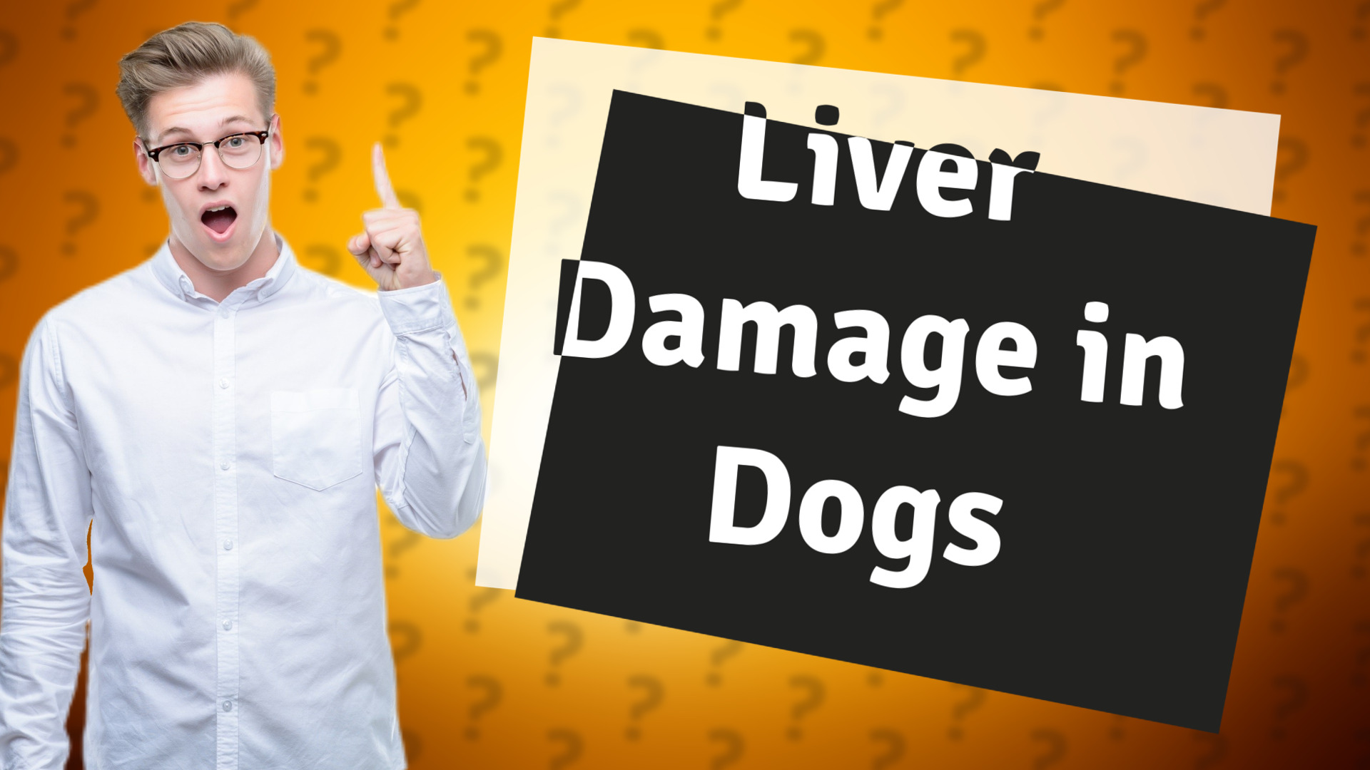 Liver Damage in Dogs