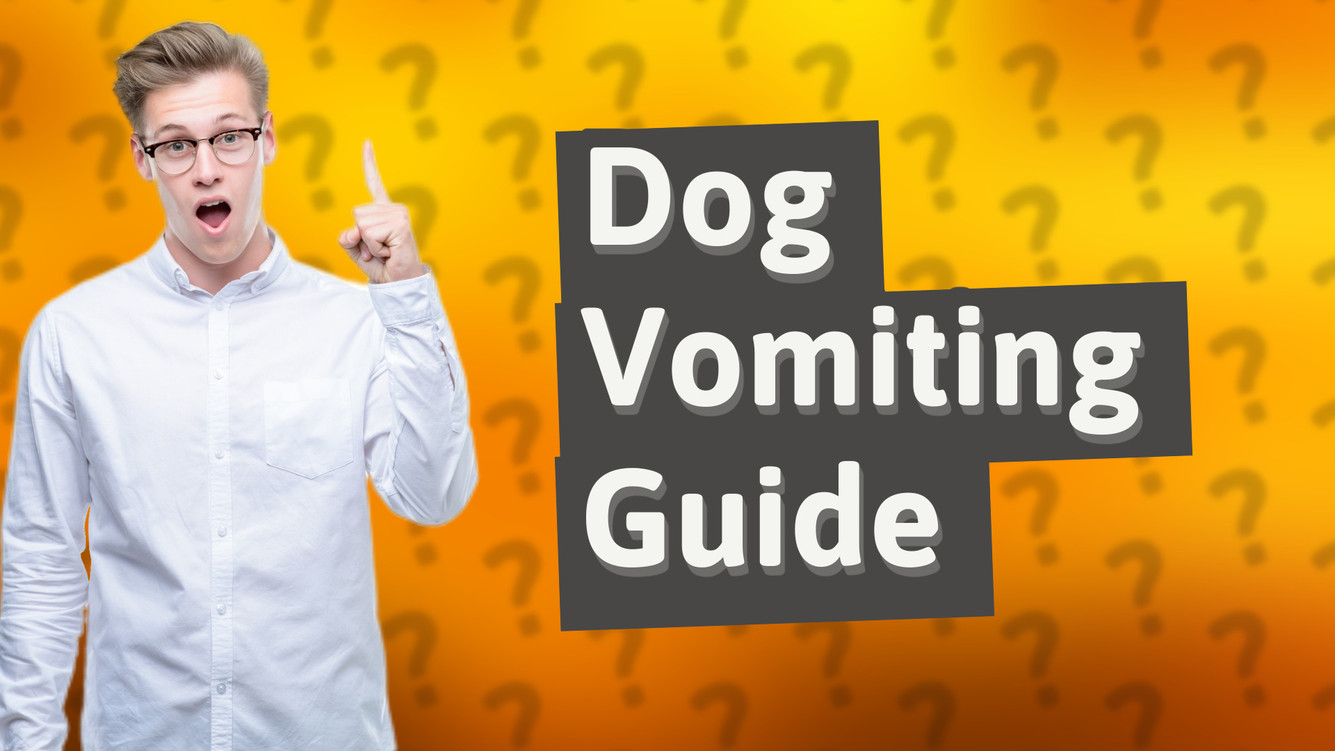 Dog Vomiting Guide