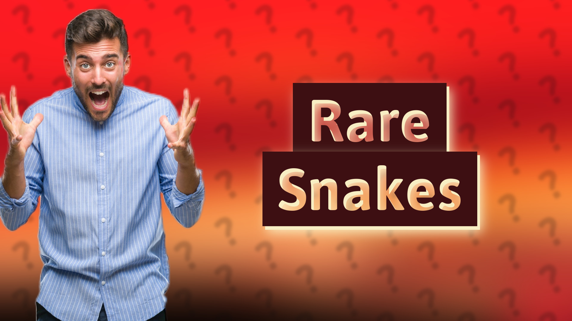 Rare Snakes