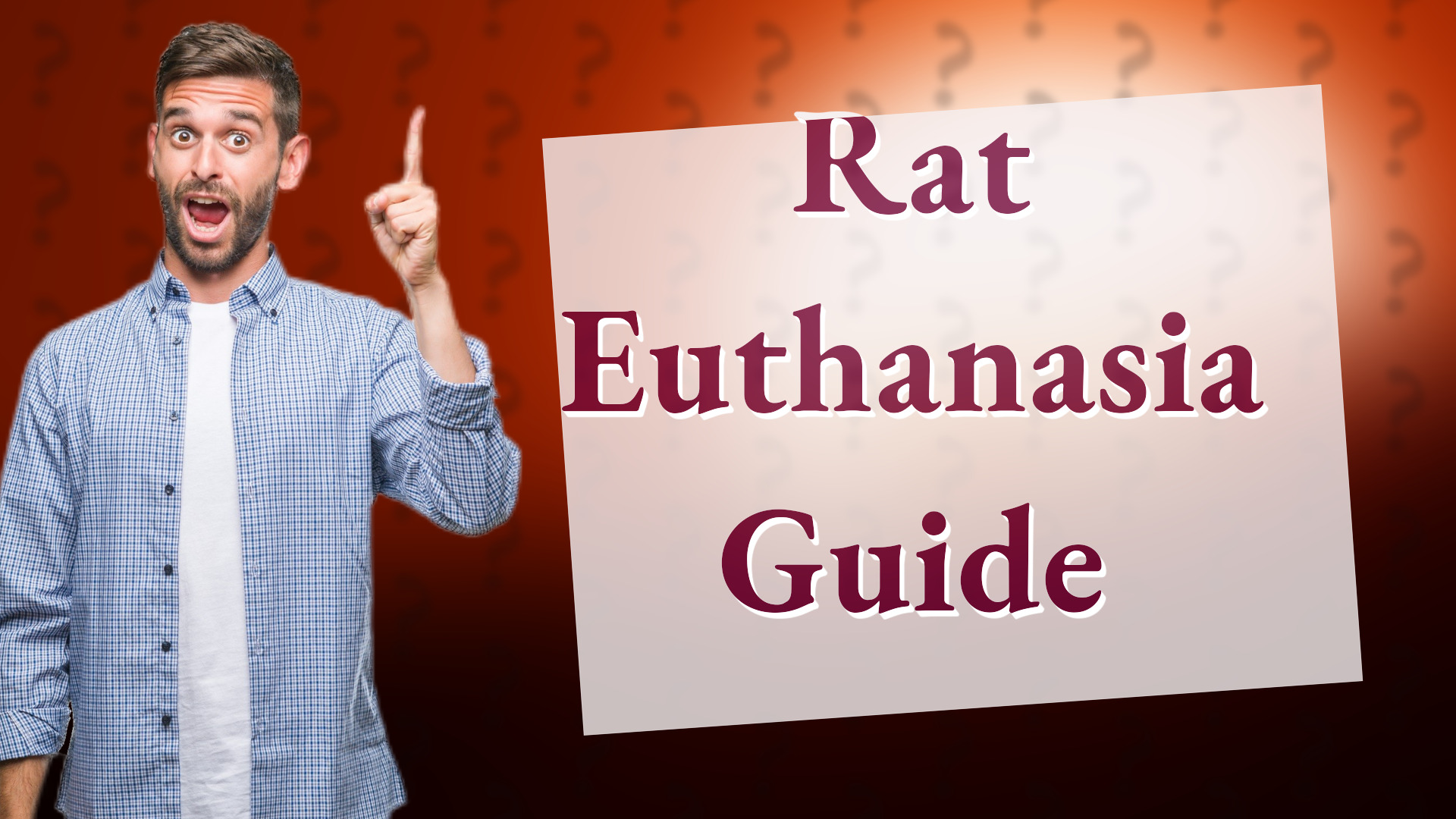 Rat Euthanasia Guide