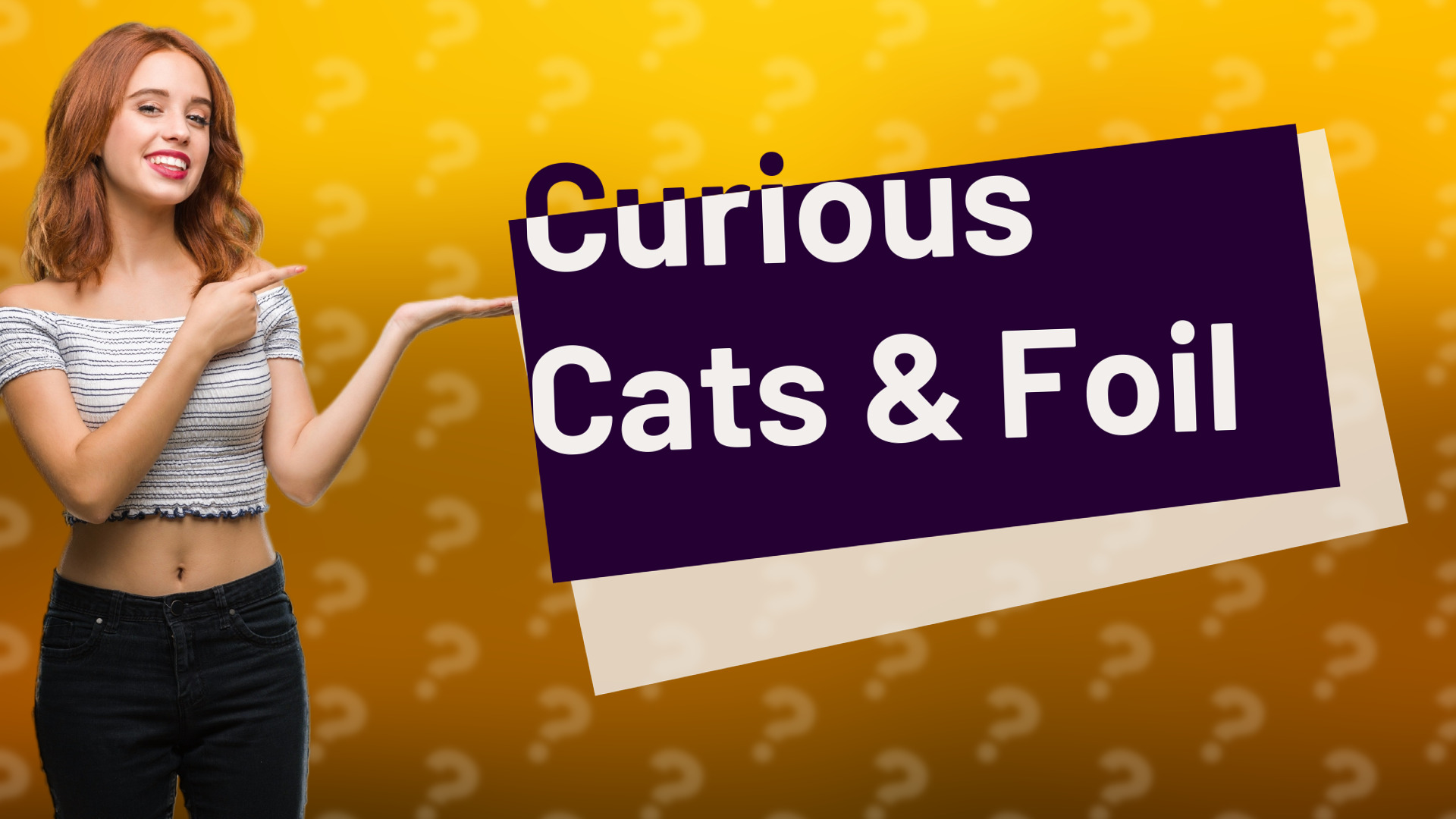 Curious Cats & Foil