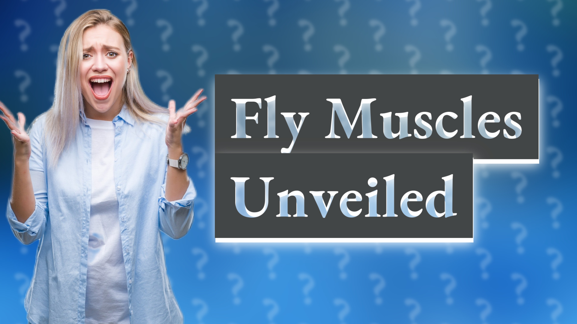 Fly Muscles Unveiled
