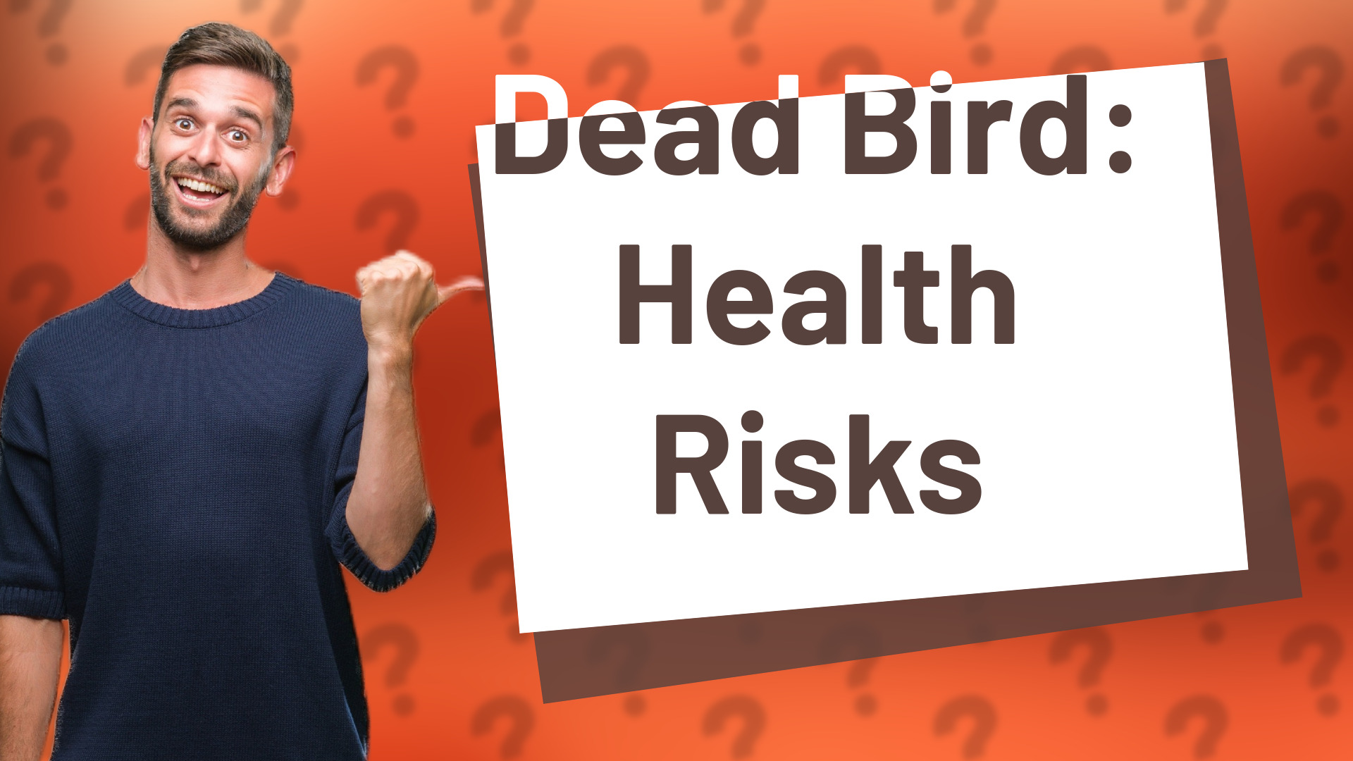 Dead Bird: Health Risks