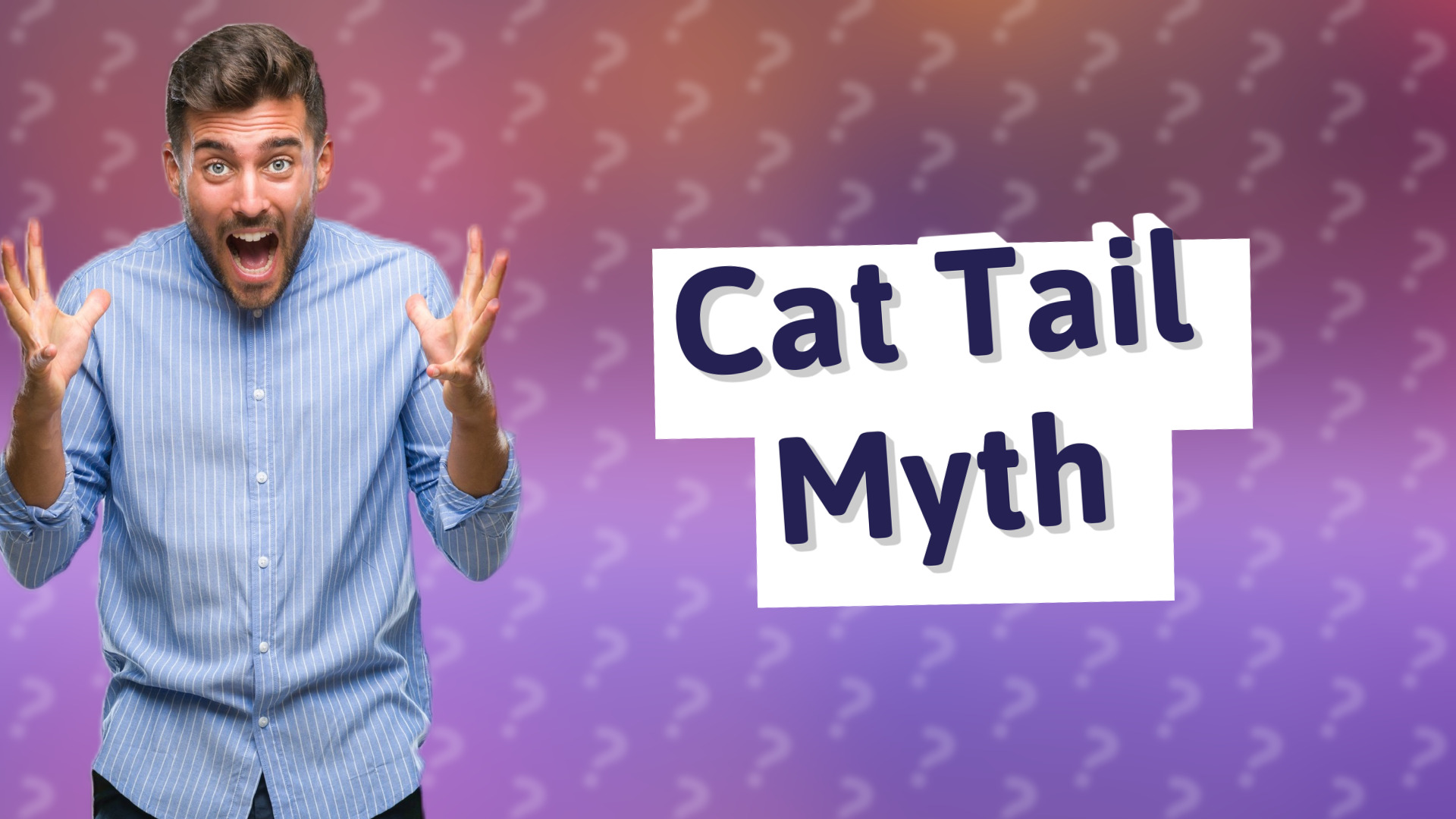 Cat Tail Myth