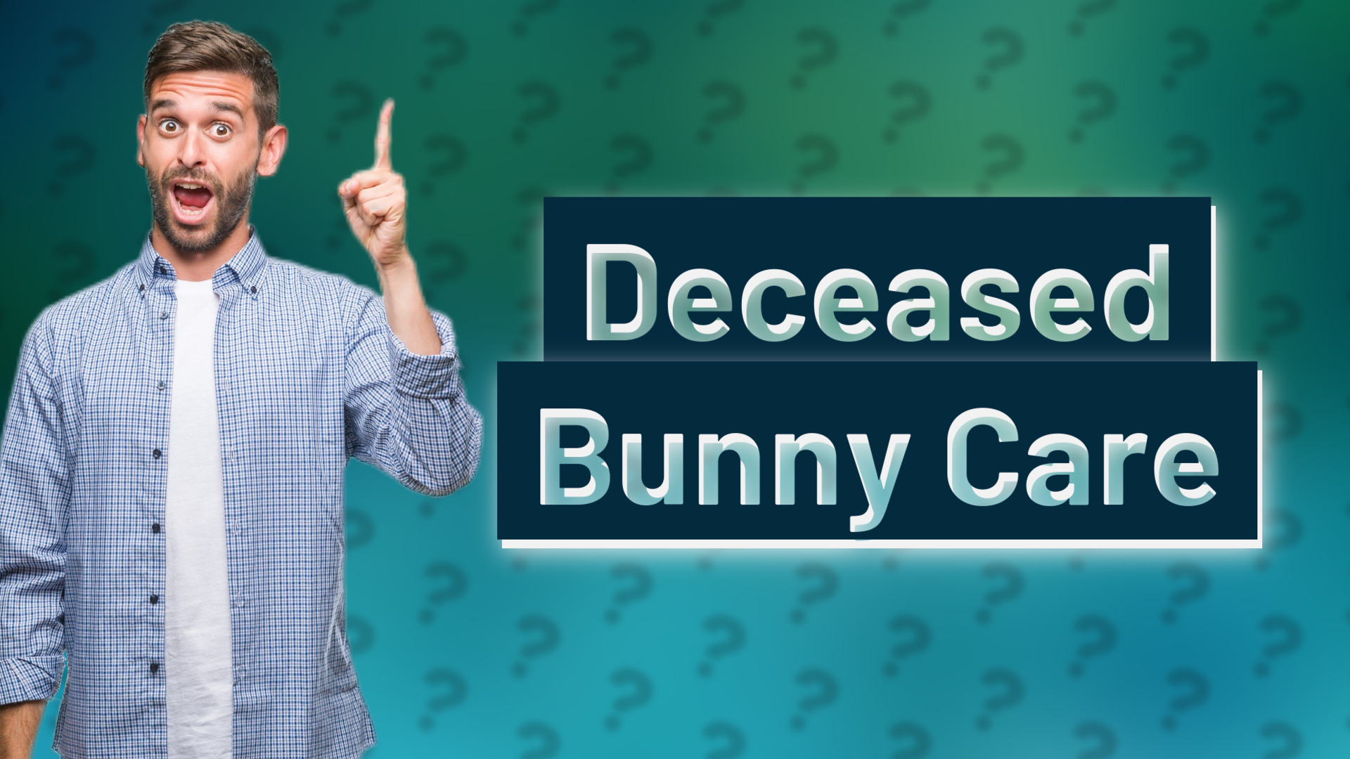 Deceased Bunny Care