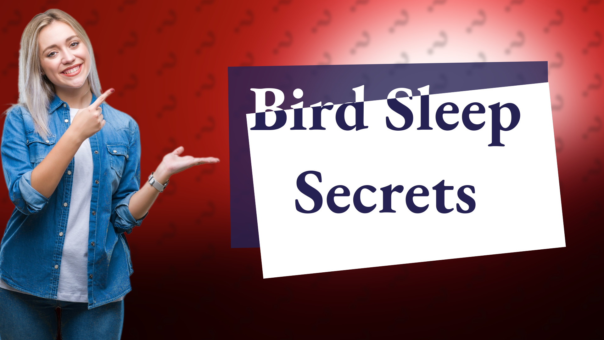 Bird Sleep Secrets