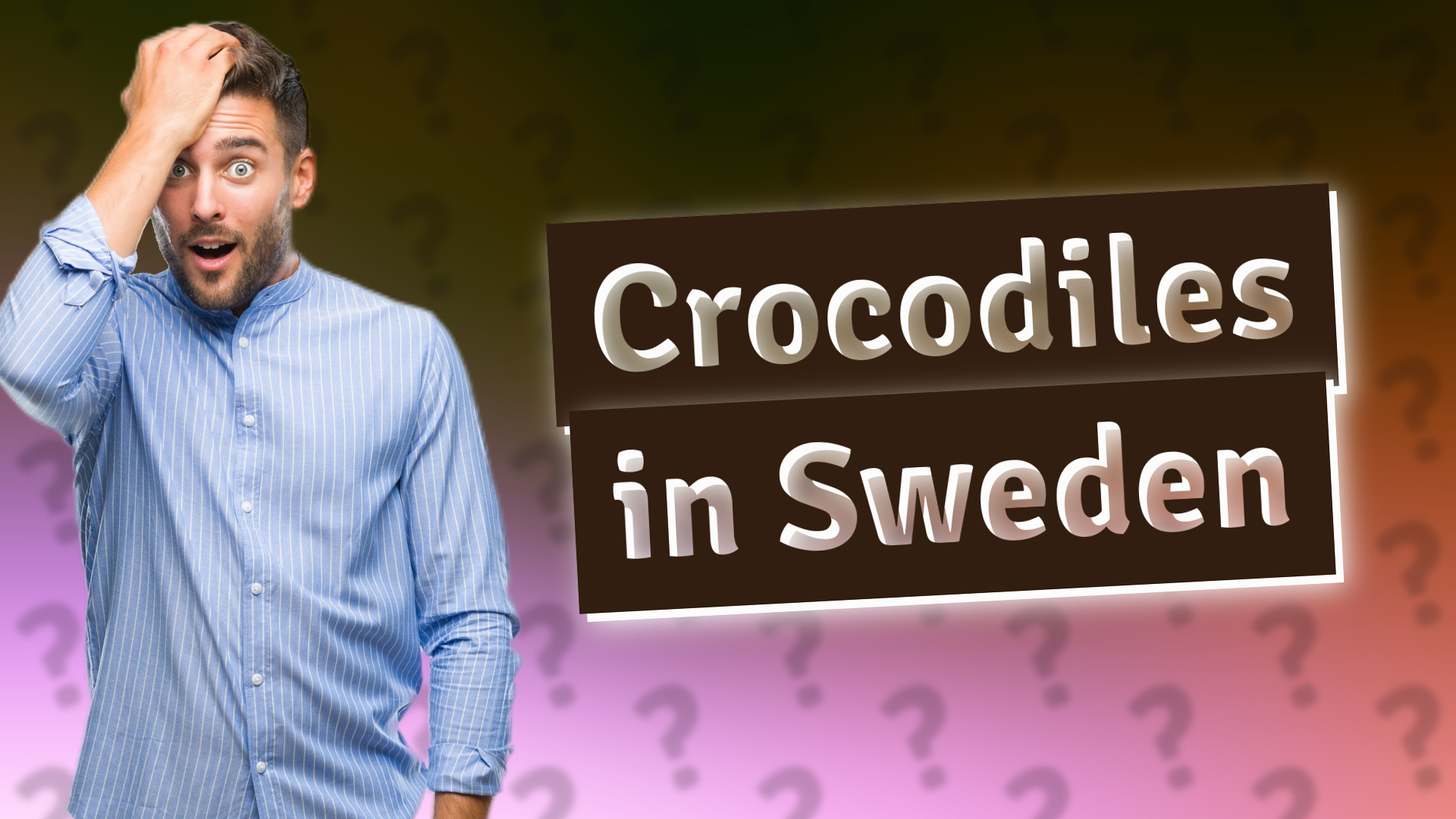 Crocodiles in Sweden