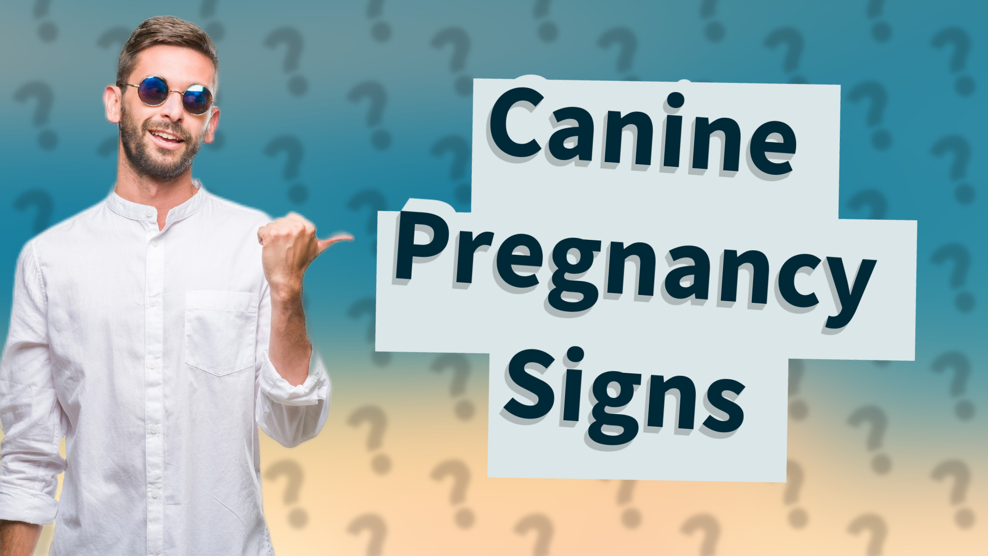 Canine Pregnancy Signs