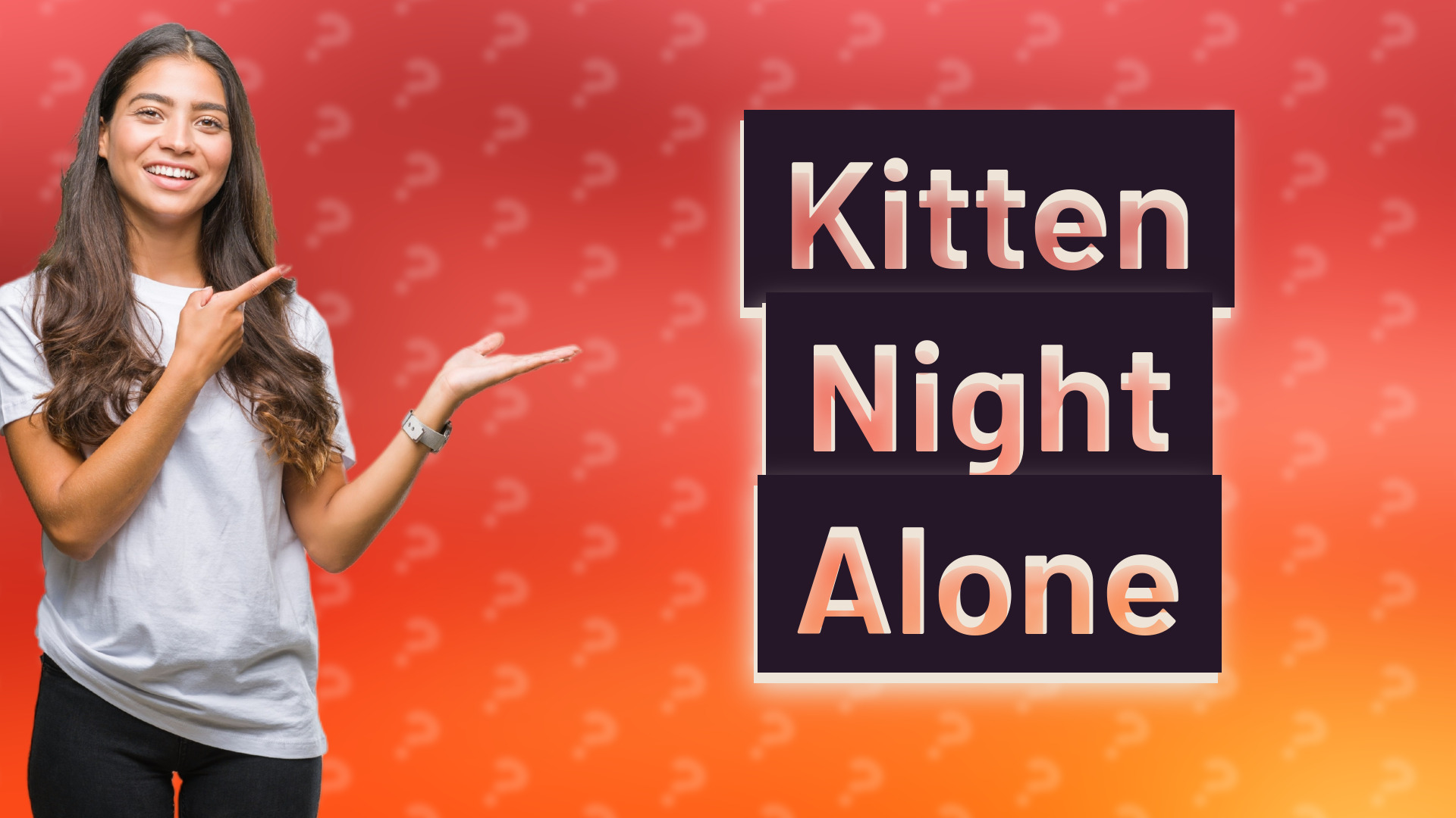 Kitten Night Alone