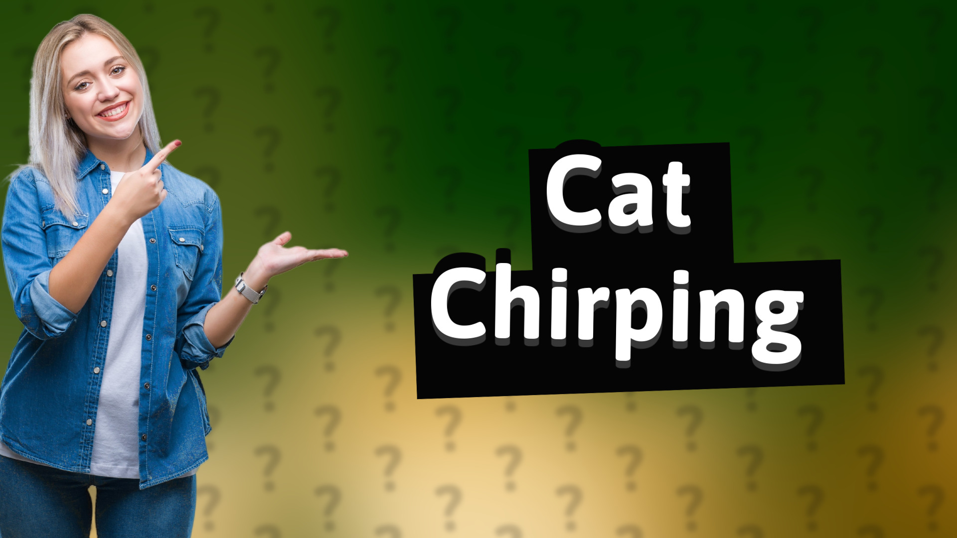Cat Chirping